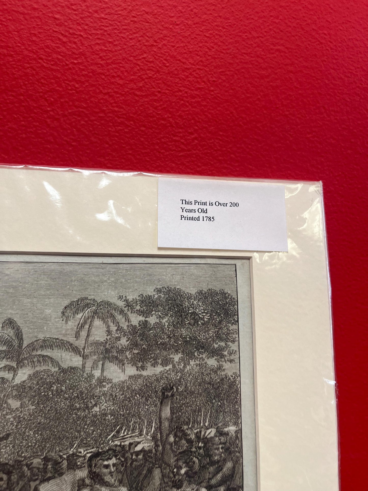 Very rare 17 x 12“ captain Cook journal print authentic and matted ready for frame great gift