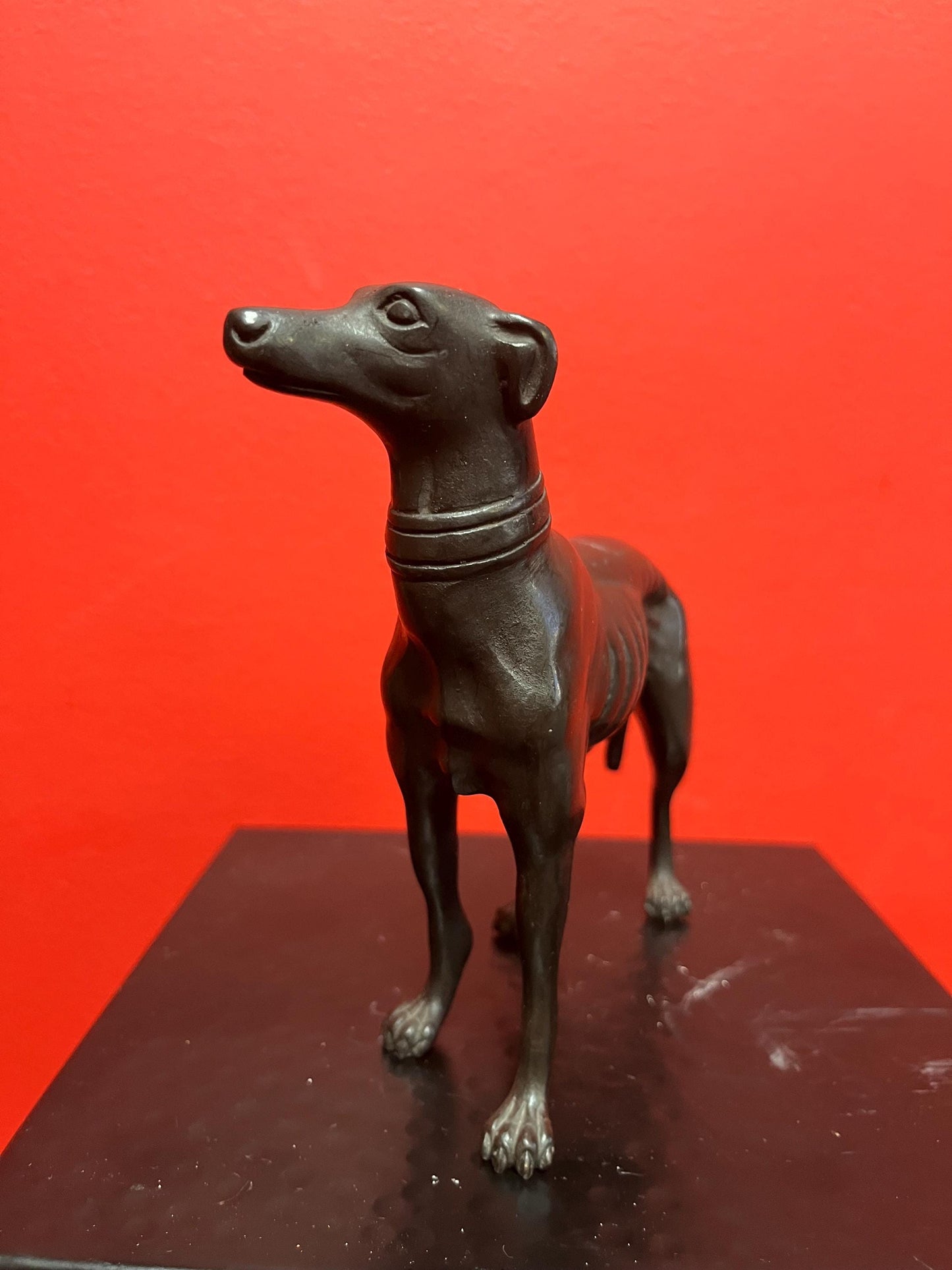 Stunning 8 x 6 high antique well detailed English bronze greyhound statue fabulous bronze greyhound wow