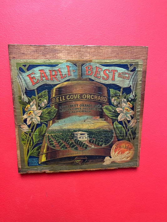 12 inch American sunkist Californian mounted picture  stunning cottage or cabin decor - wow