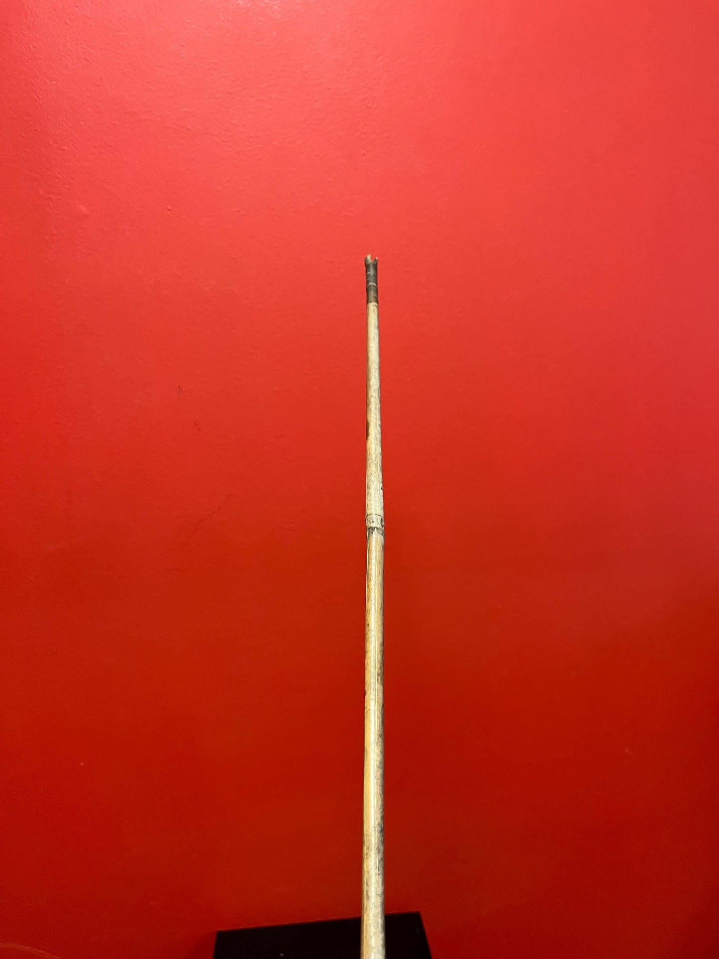 Lovely antique 25 inch indigenous spear