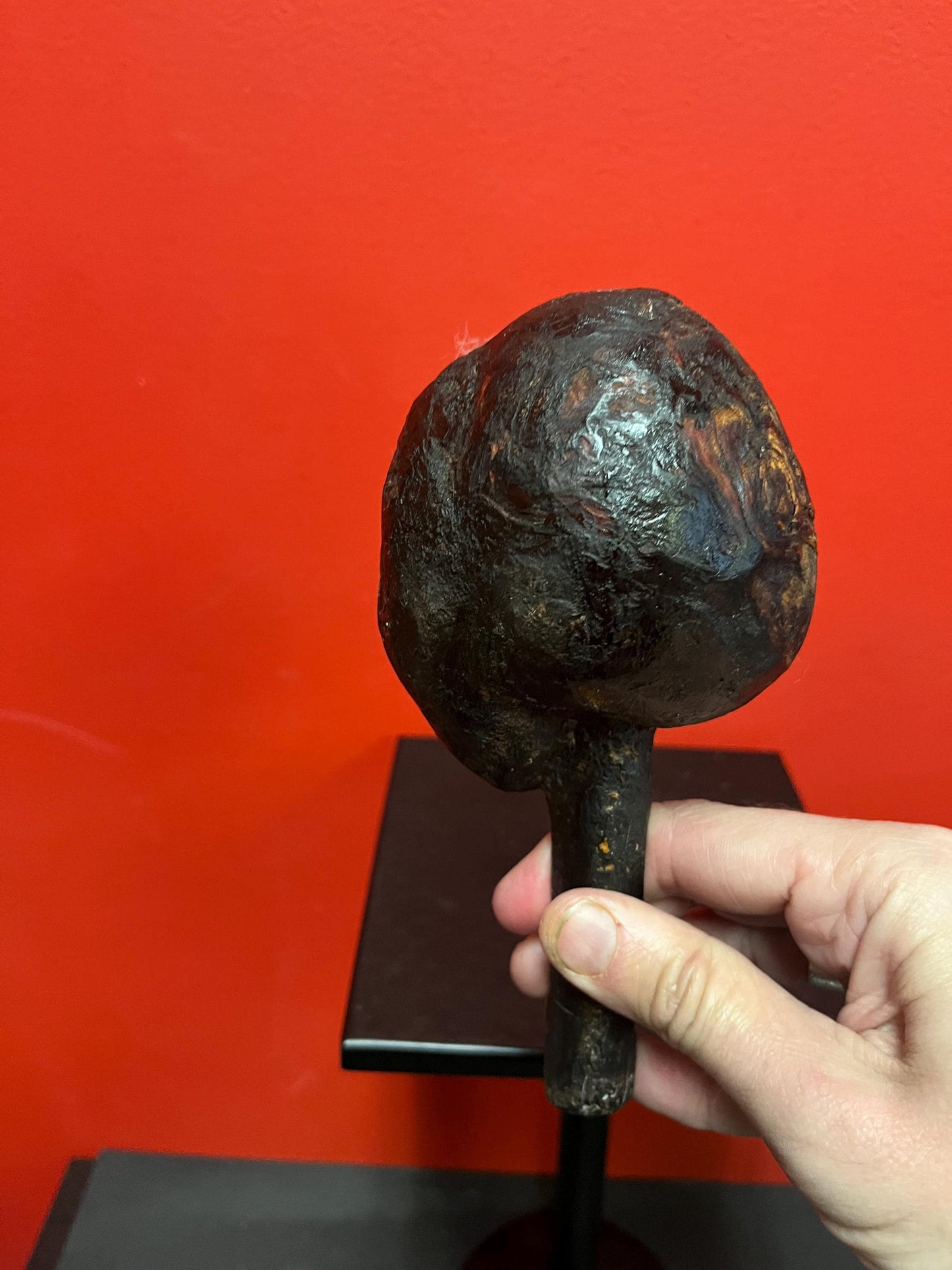 Fabulous 8 inch long antique authentic indigenous first nations pacific northwest coast  wooden burl club weapon  wonderful history