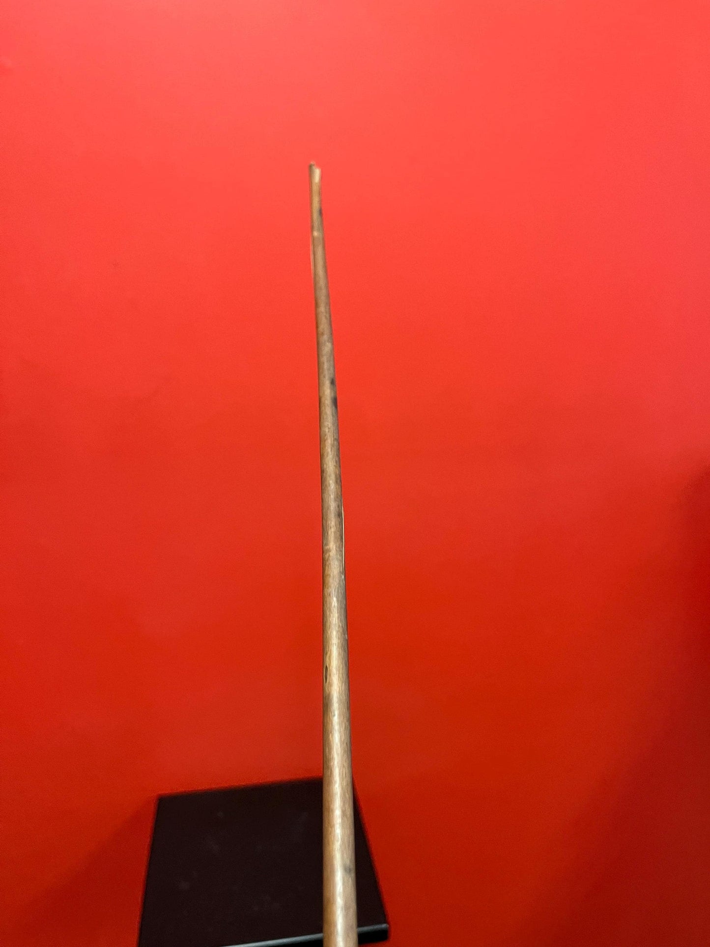 Lovely antique 22 inch indigenous spear