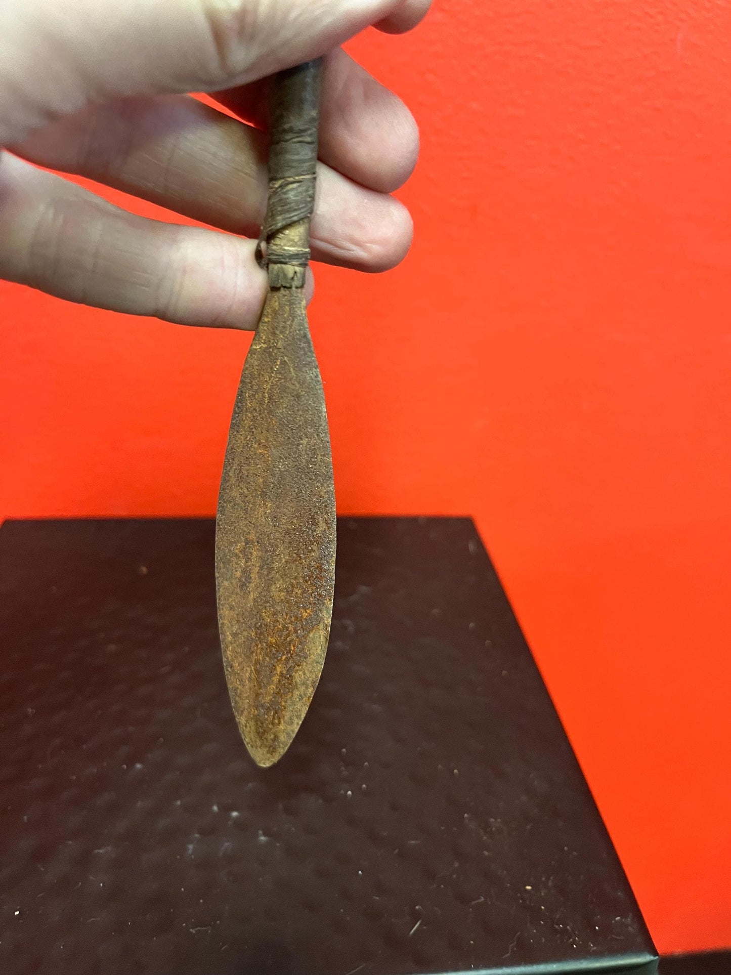 Lovely antique 22 inch indigenous spear