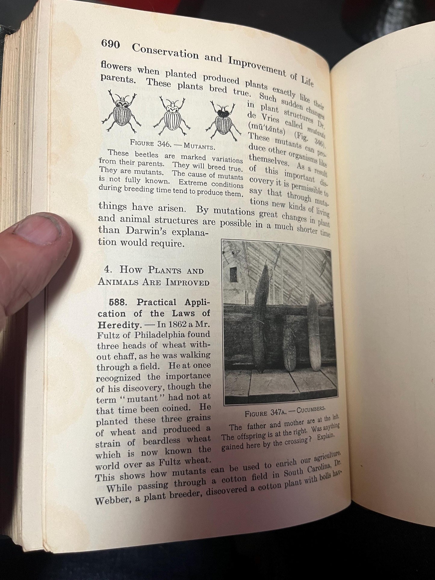 Amazing 1927 American - environment and how we use and control it book  approx 700 pages  good antique condition great gift