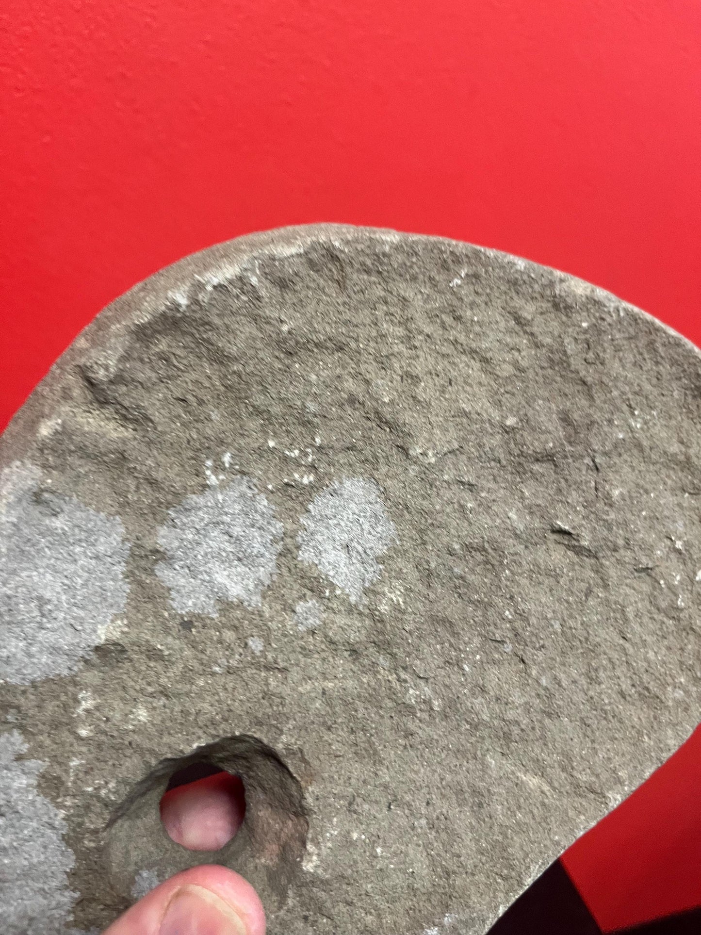 Stunning antique indigenous first nations Haida stone tool plummet amazing patina and history from important collection
