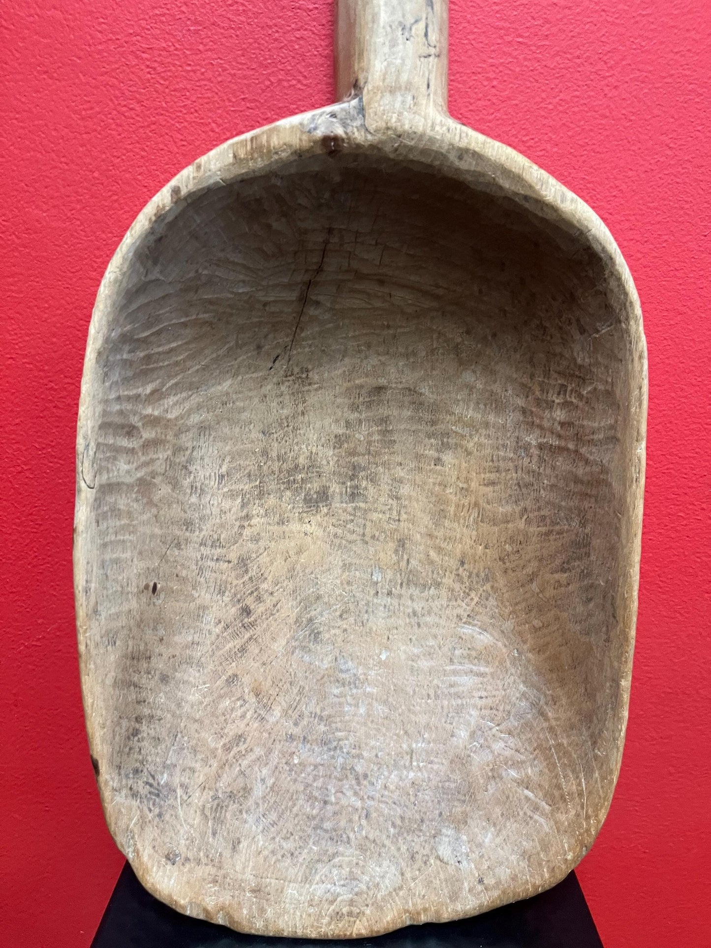 19 x 8 wide stunning antique Canadian Quebec pine grain scoop  wonderful patina  great for use or display