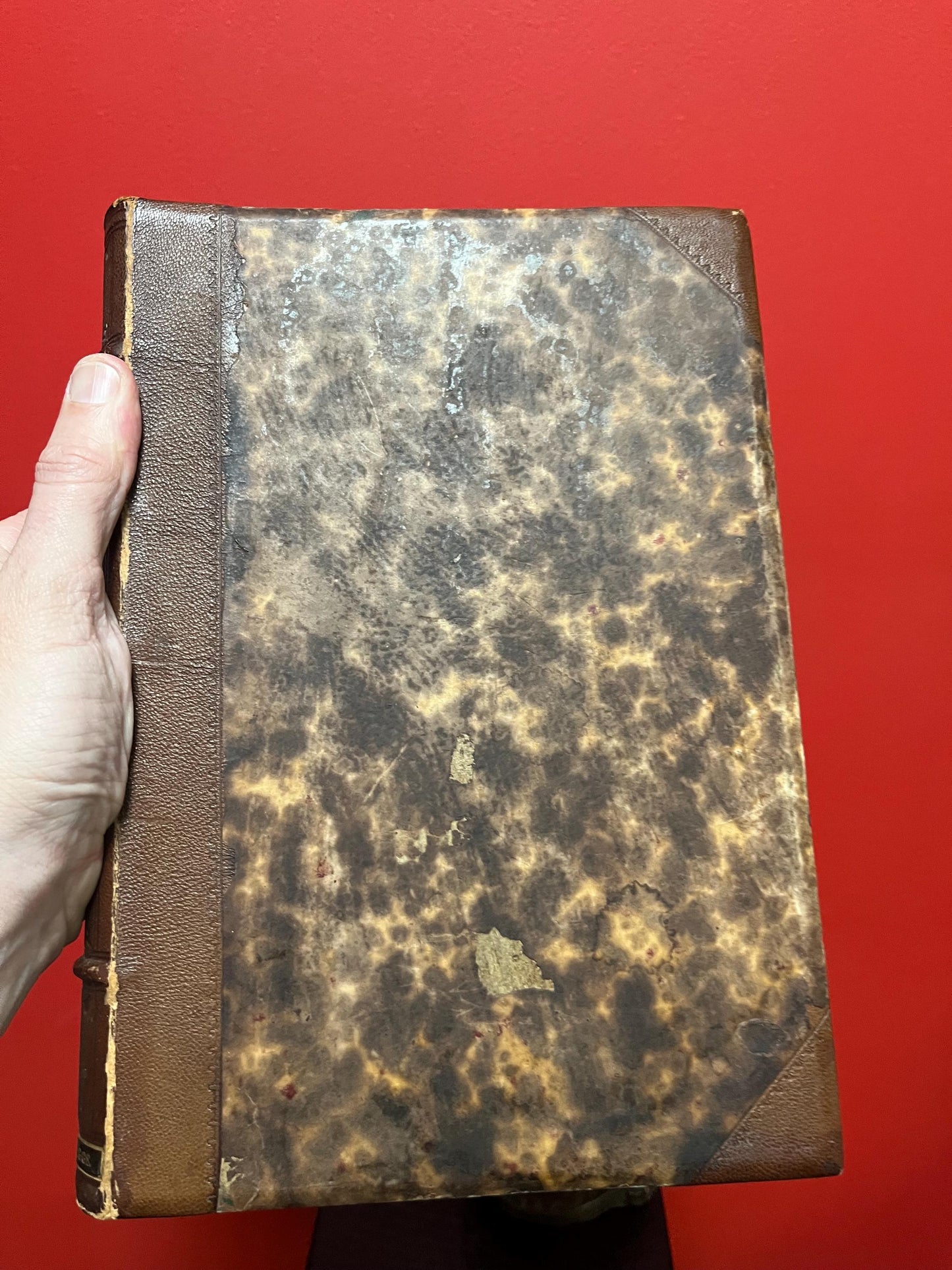 Glorious 19th century copy of William Shakespeares doubtful plays in wonderful condition 484 pages perfect for gift