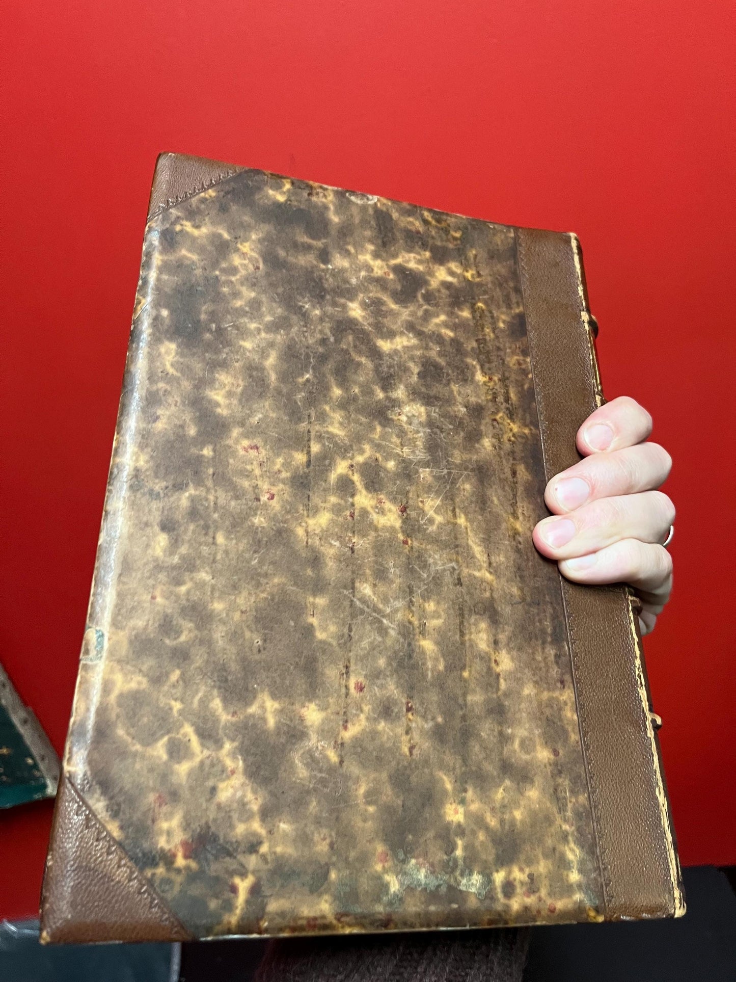 Glorious 19th century copy of William Shakespeares doubtful plays in wonderful condition 484 pages perfect for gift