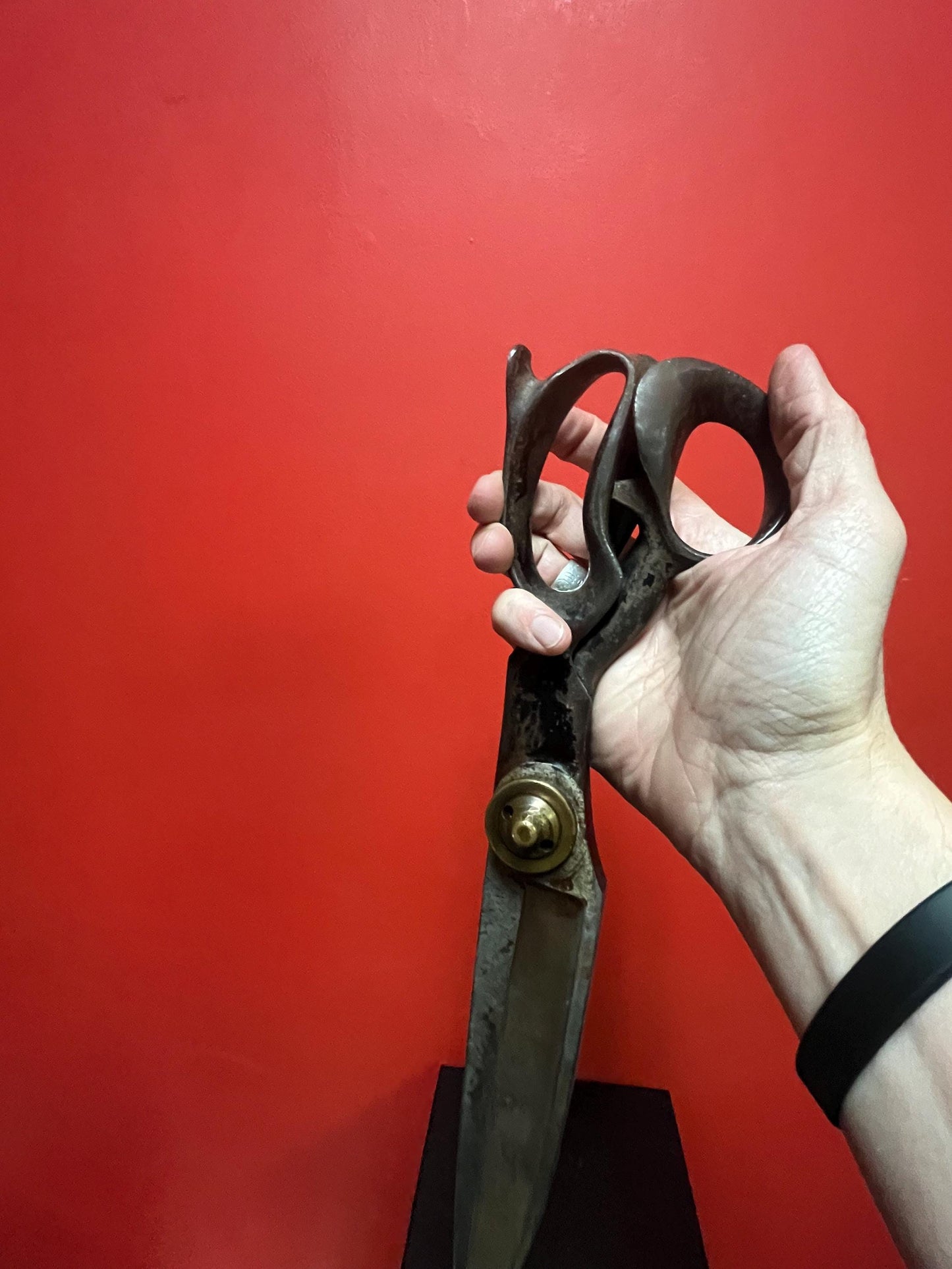 14 inch long American cast-iron shears sharp and cool