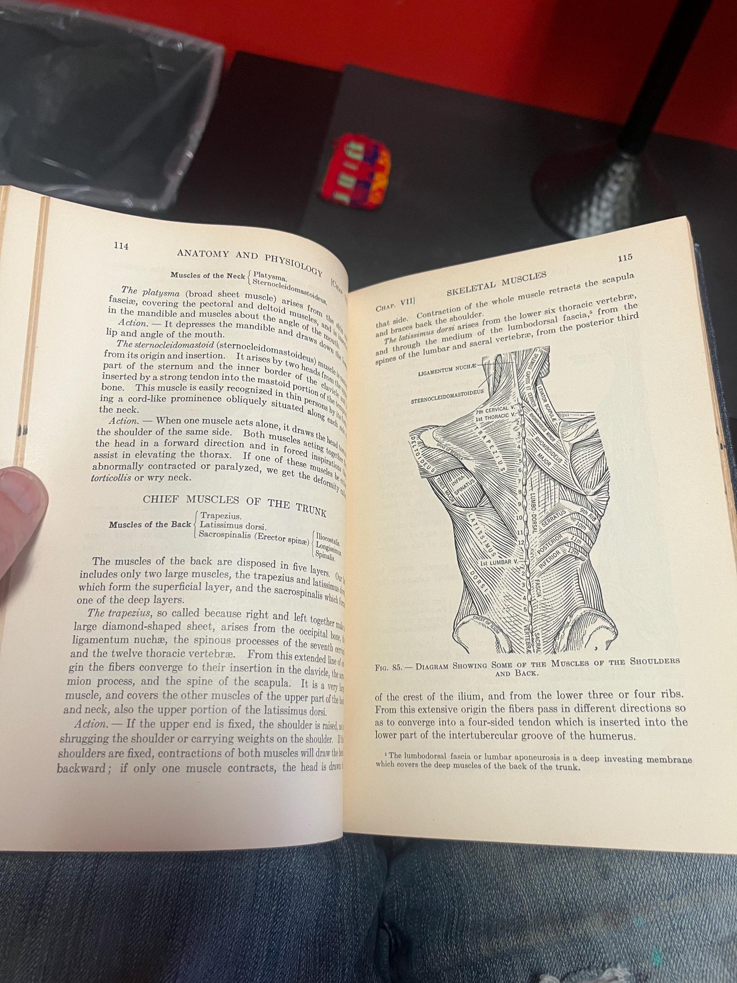Textbook of anatomy and physiology ninth edition 1934 640 pages pretty good antique condition
