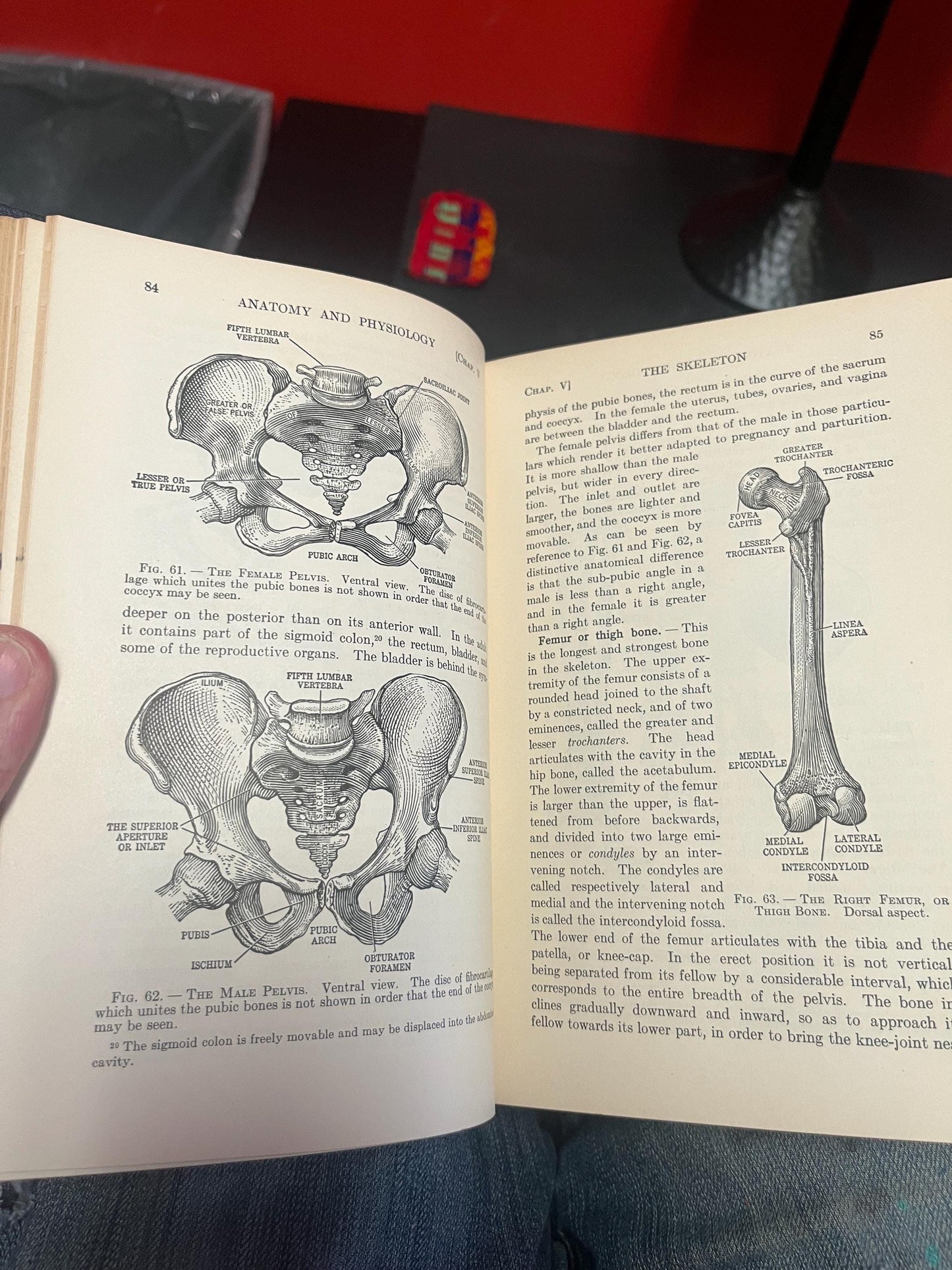 Textbook of anatomy and physiology ninth edition 1934 640 pages pretty good antique condition