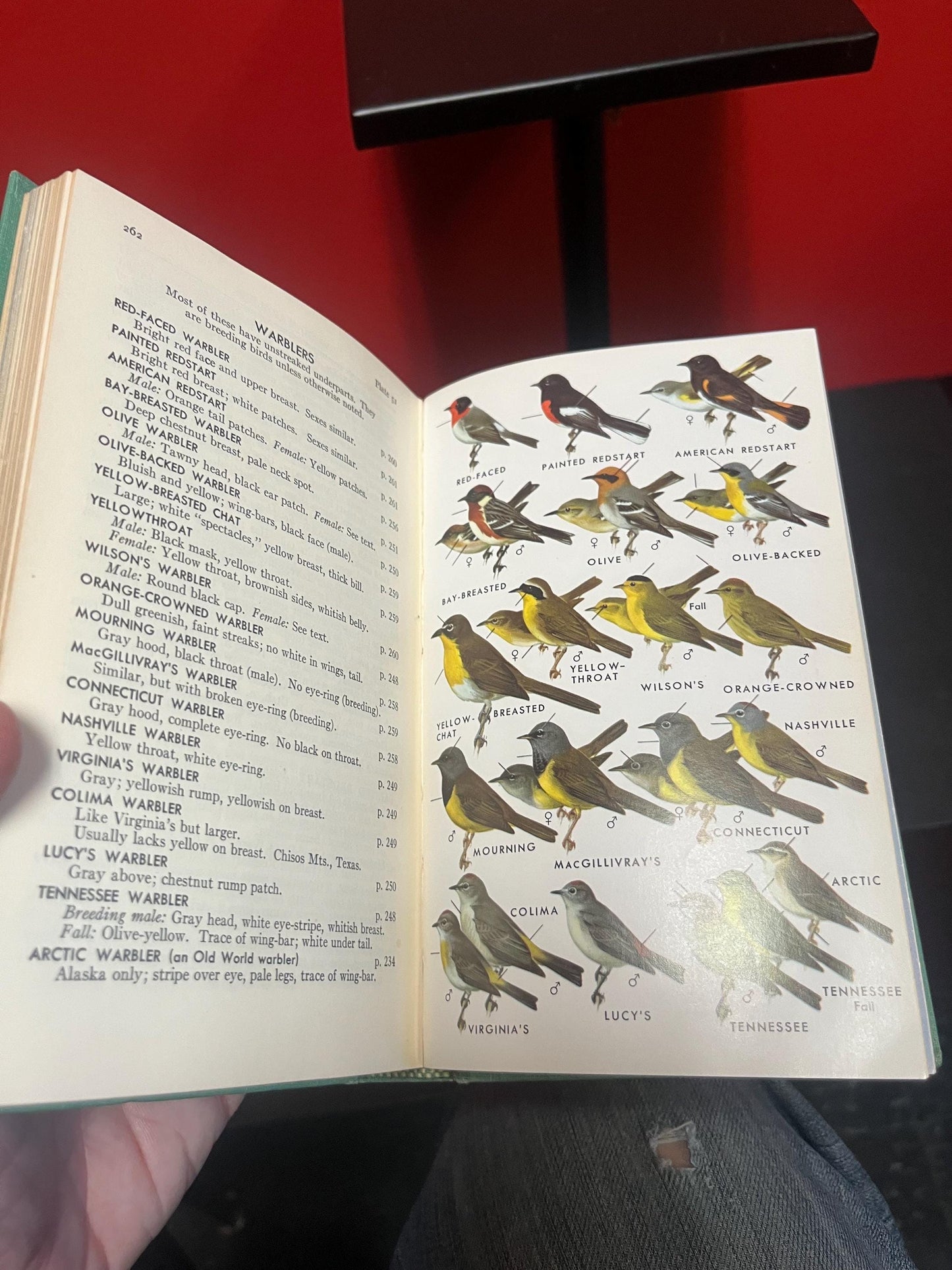 1961 a field guide to Western birds book great pictures great condition and good value 366 pages