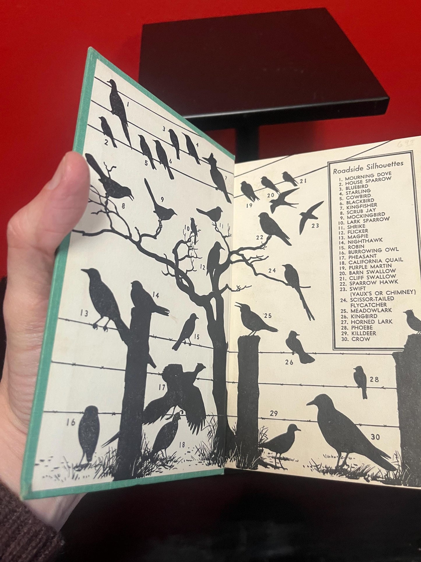 1961 a field guide to Western birds book great pictures great condition and good value 366 pages