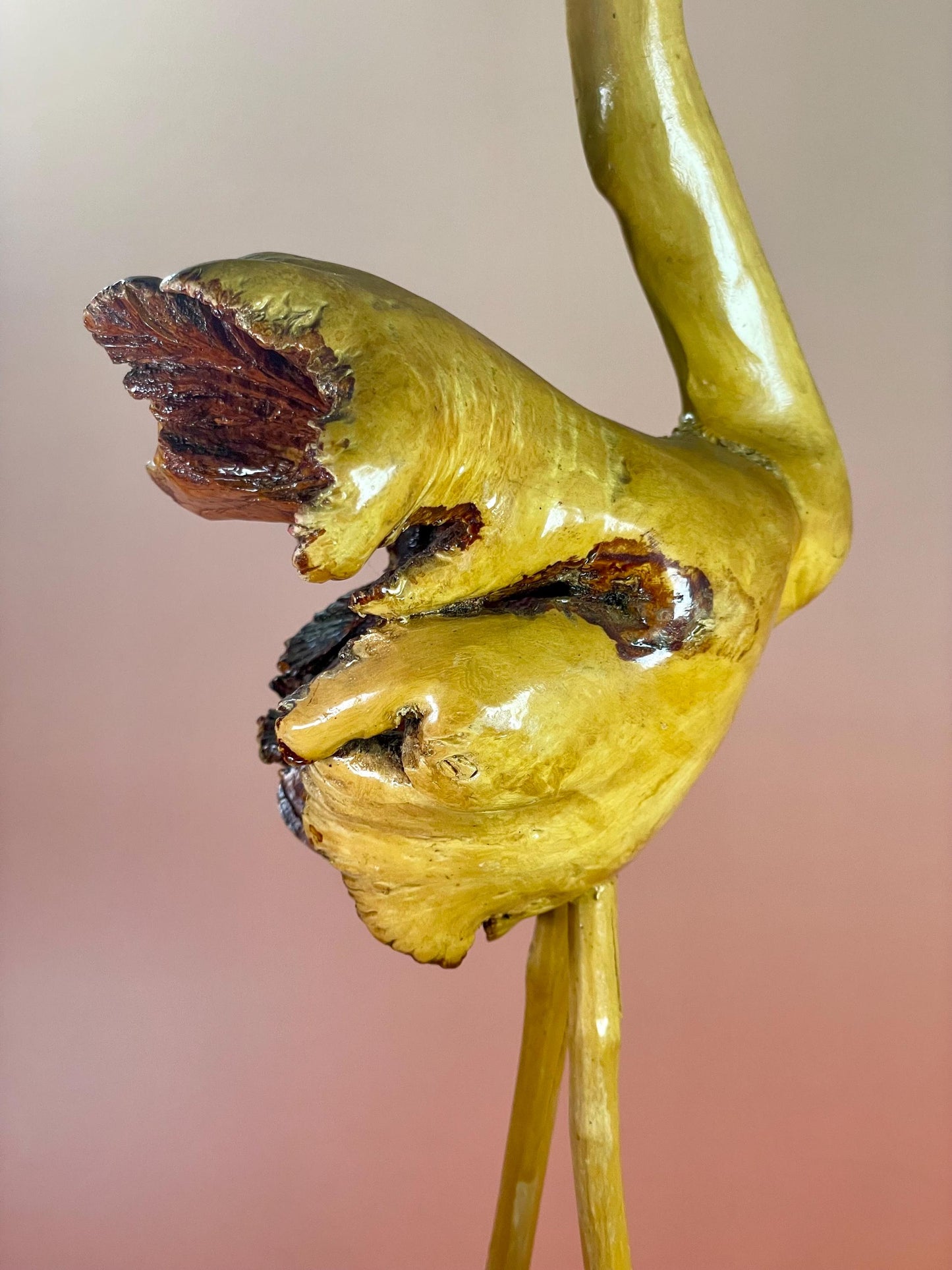 Stunning 15 inch Burl Wood Ostrich