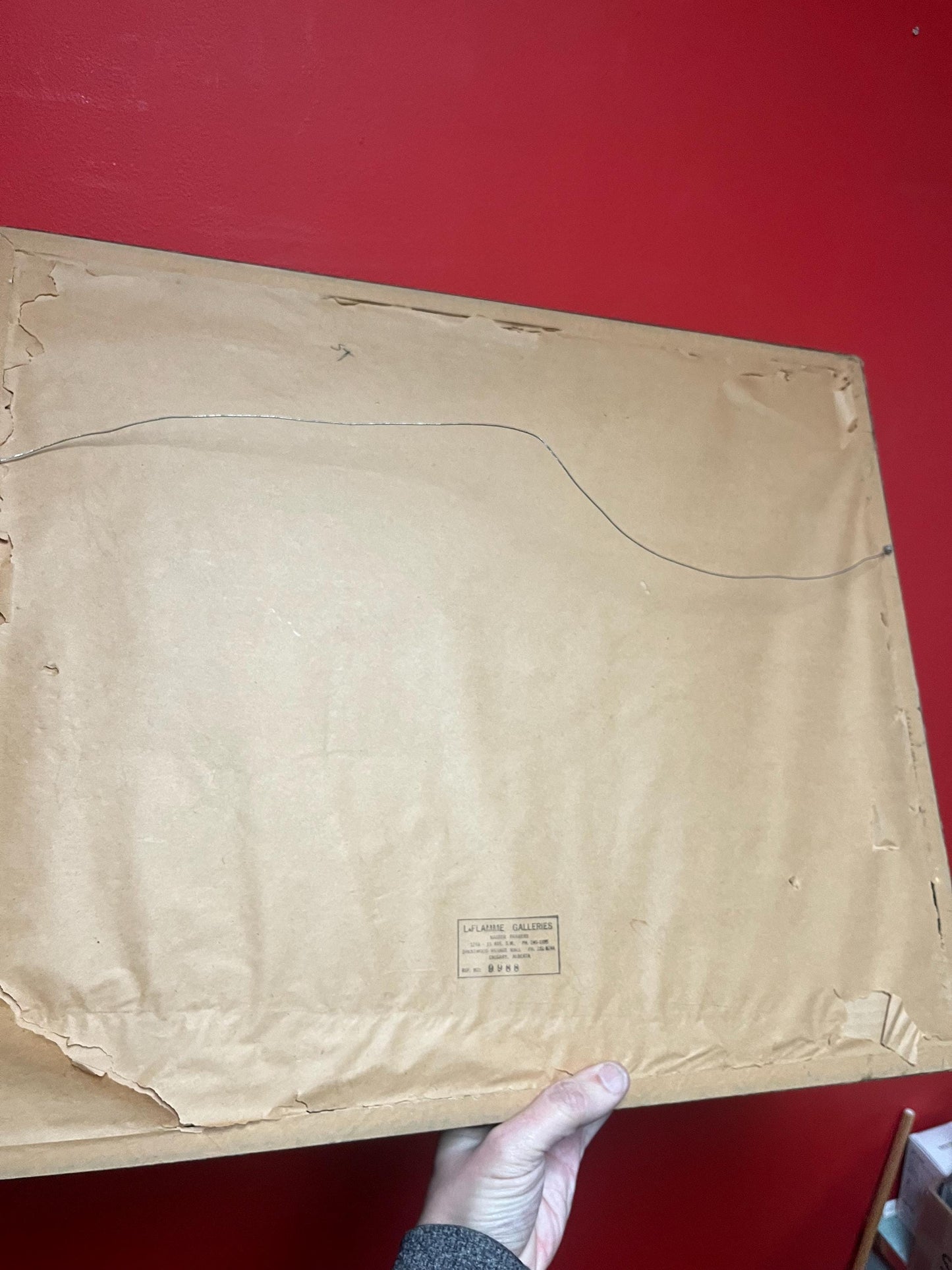 Beautiful huge South American MOLA infra great imagery and detail 23 x 19 mola great Condition South American art