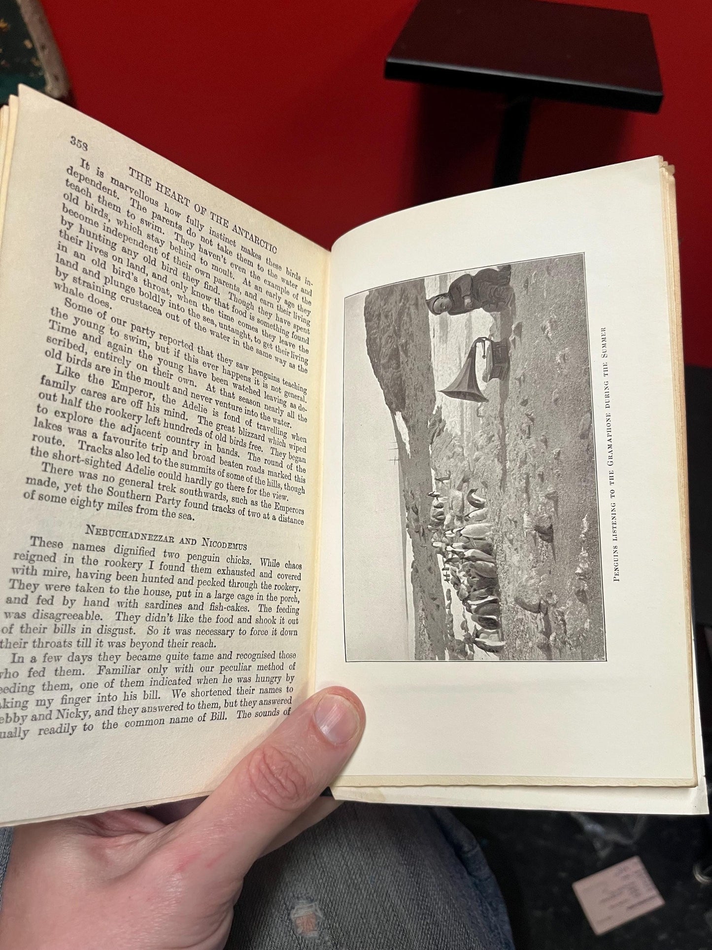 Amazing antique book - the heart of the Antarctica by sir Ernest Shackleton - pretty good antique condition so see photos 368 pages -