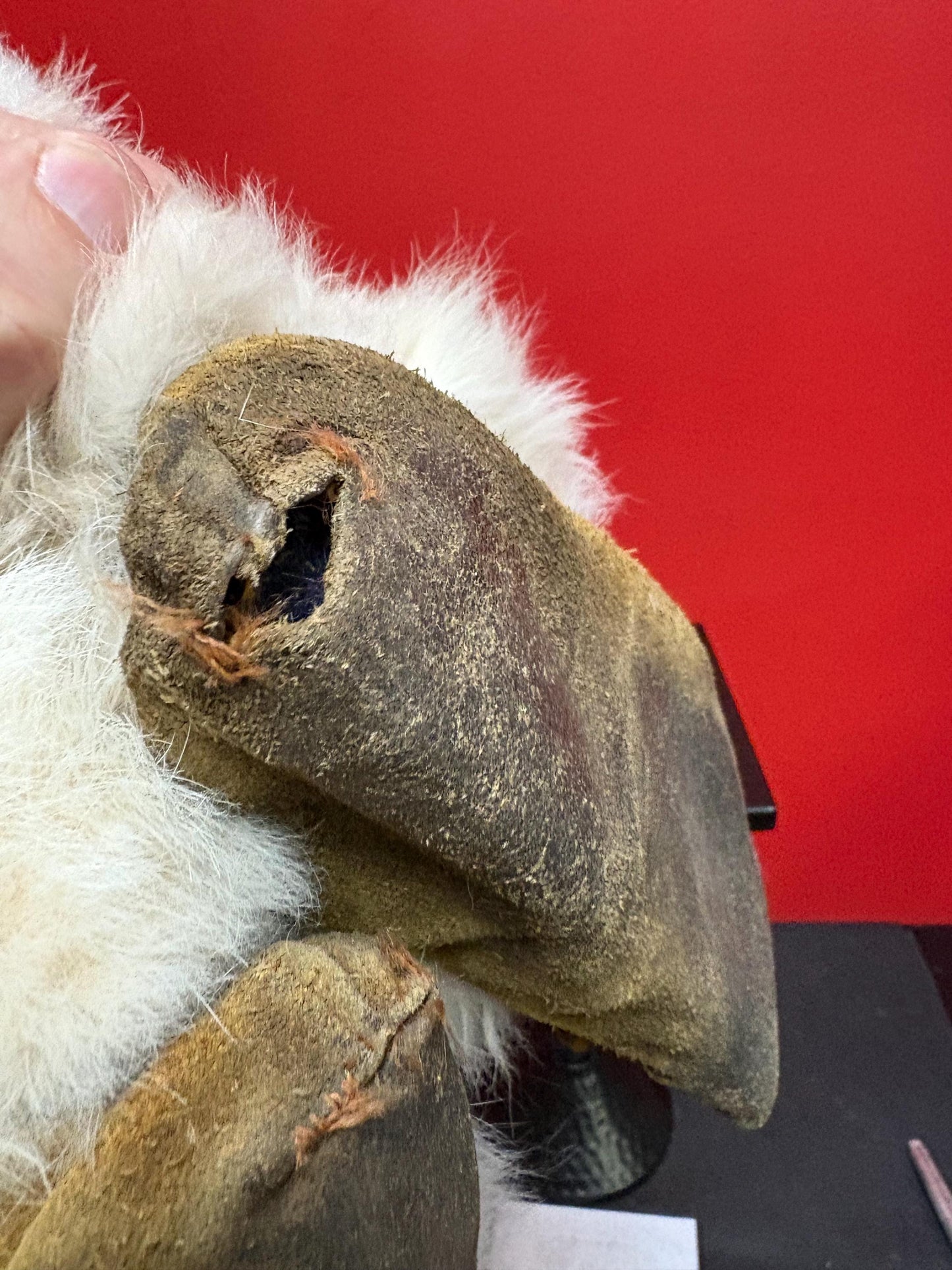 Beautiful indigenous first nations fur leather and beaded moccasin boots 12 x 10 long As is great decoration