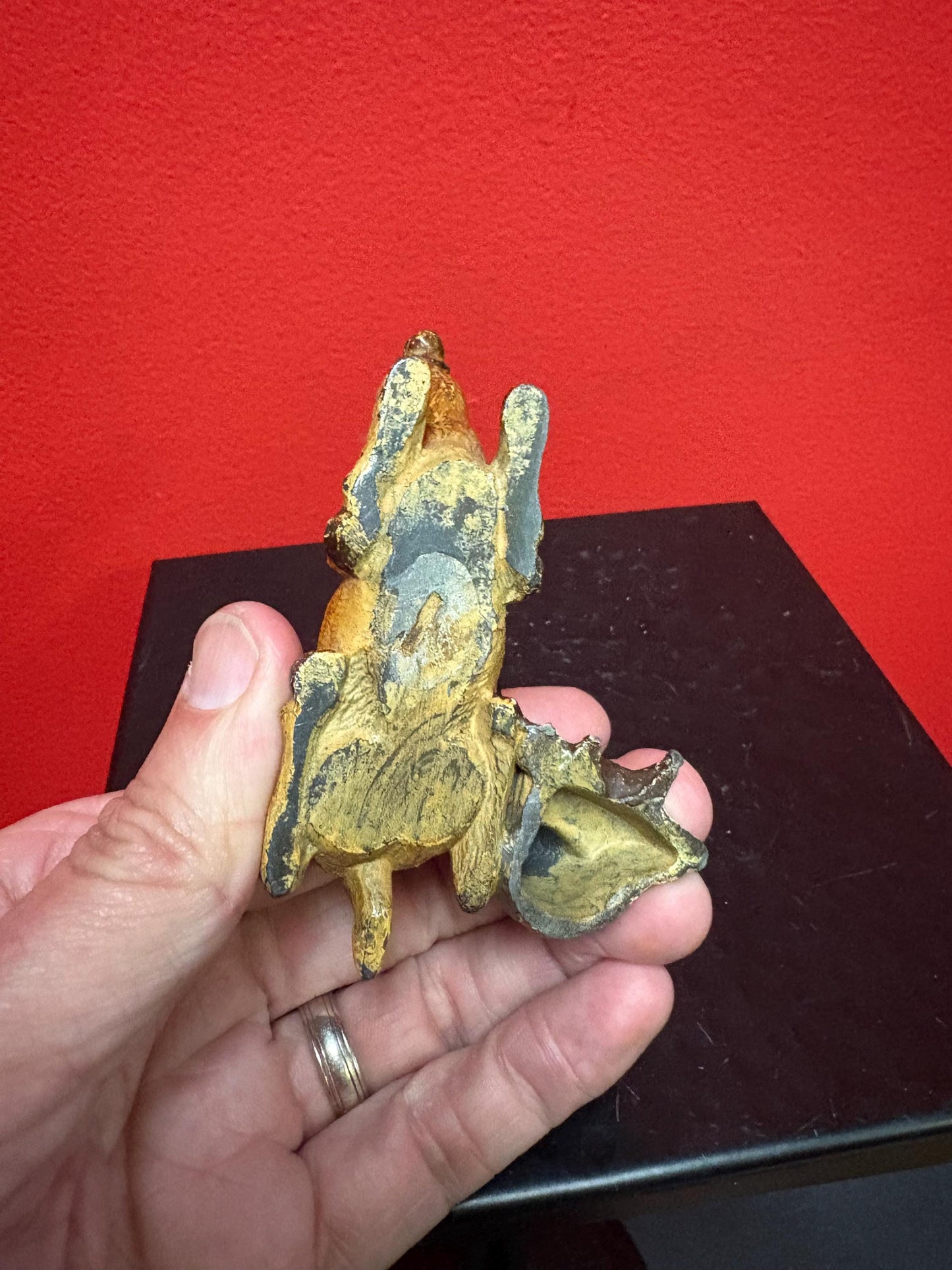 Beautiful antique 4 x 2 high Austrian cold painted bronze Arab with camel lovely condition - amazing price