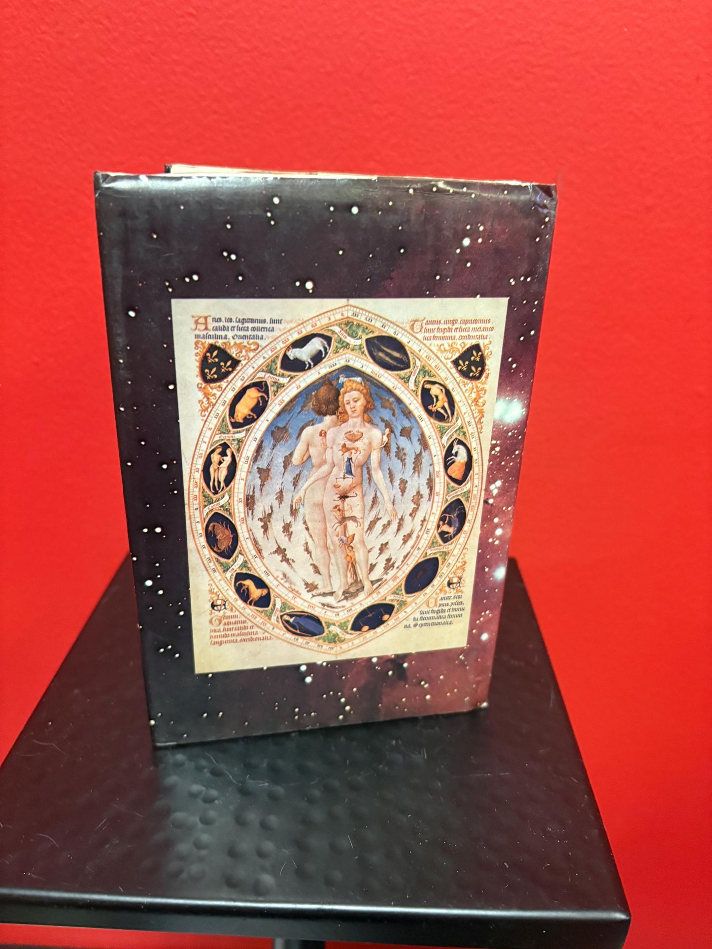 Amazing fortune telling 1978 first edition book by Douglas Hill in good condition super cool diagrams, etc. perfect gift this is a wow