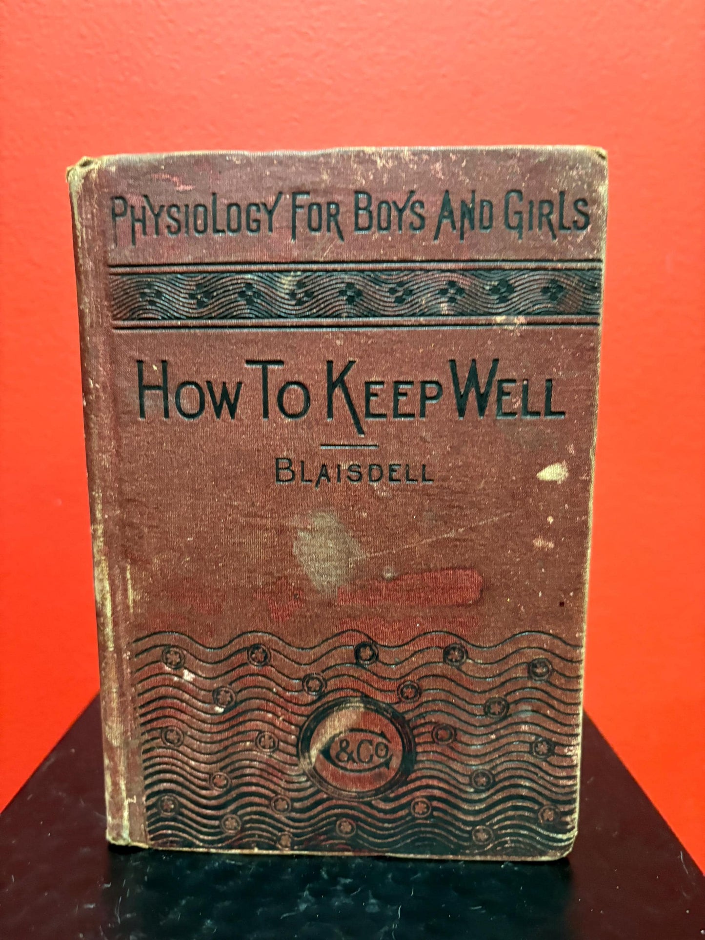 Beautiful physiology for boys and girls 1865 book not perfect condition but very cool info great gift