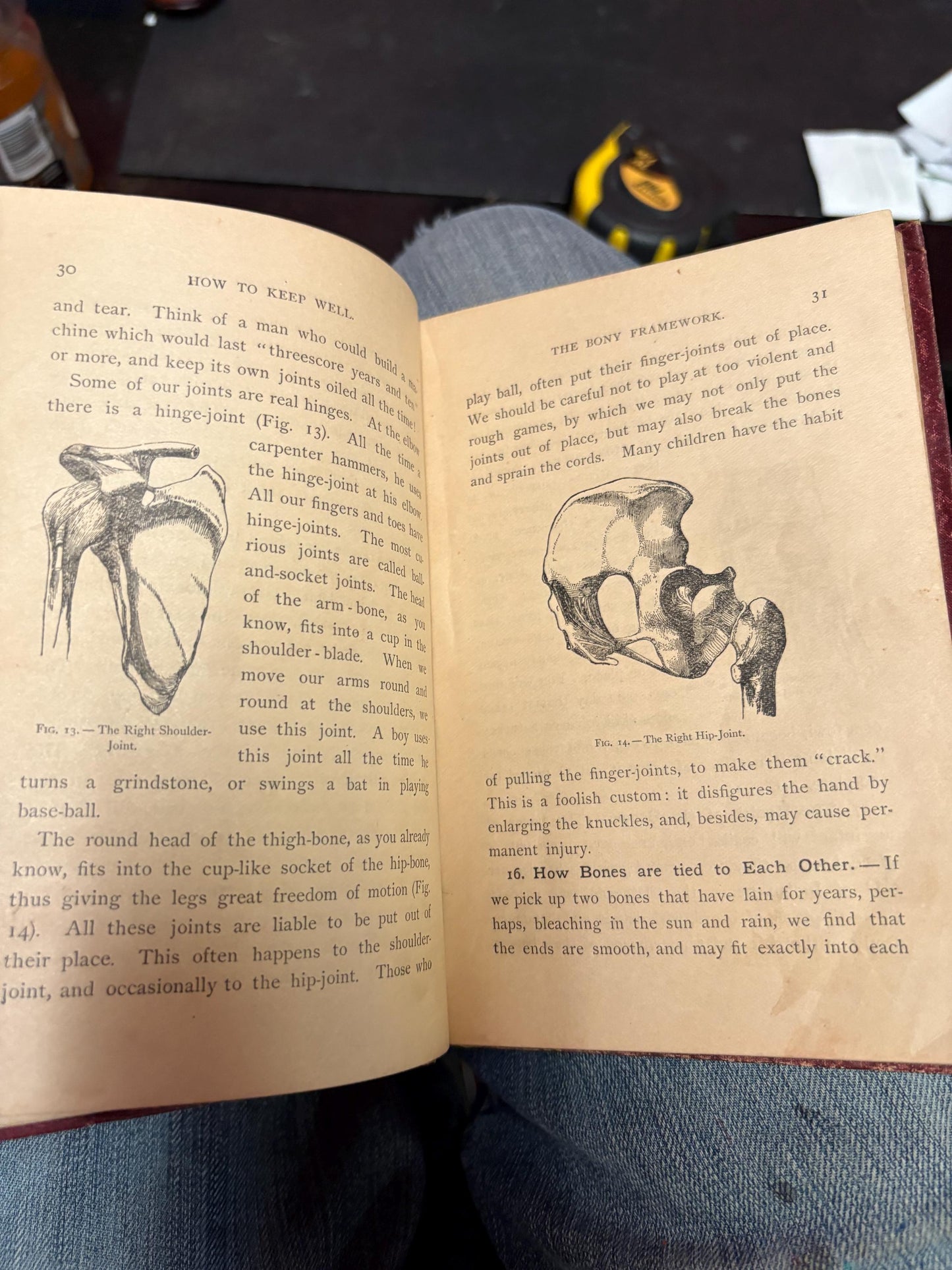 Beautiful physiology for boys and girls 1865 book not perfect condition but very cool info great gift