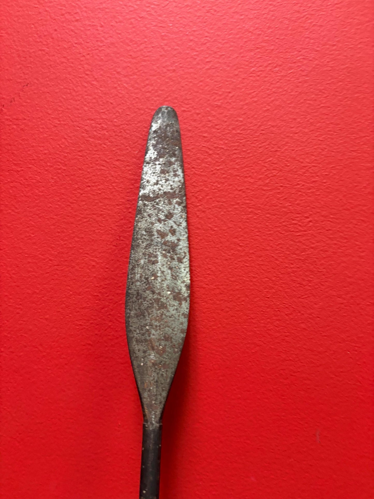 Very rare 19 inch long antique indigenous first nations West Coast tool nice patina