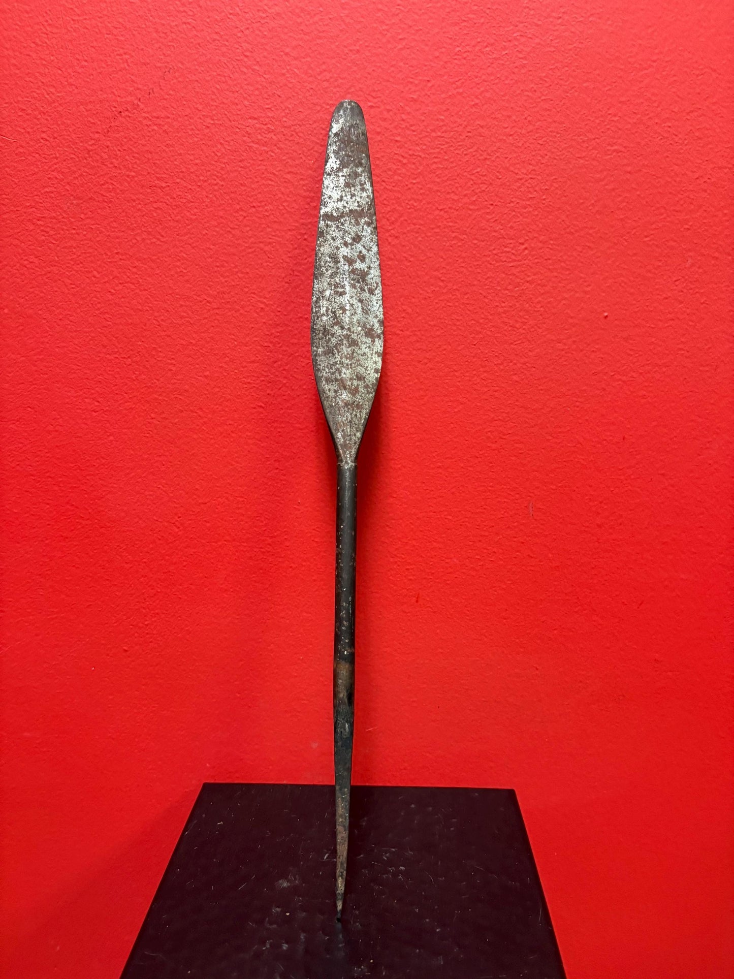 Very rare 19 inch long antique indigenous first nations West Coast tool nice patina