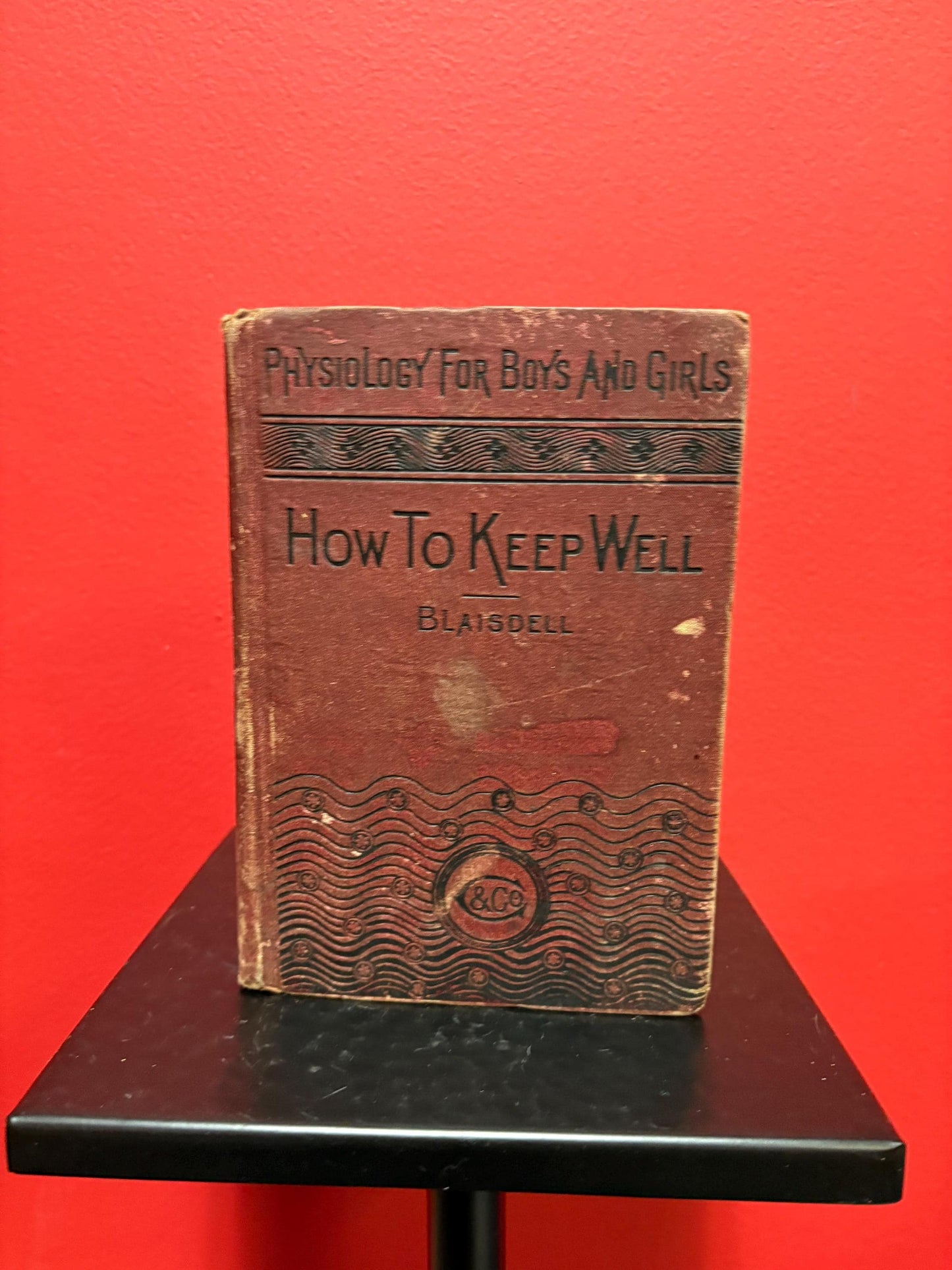 Beautiful physiology for boys and girls 1865 book not perfect condition but very cool info great gift
