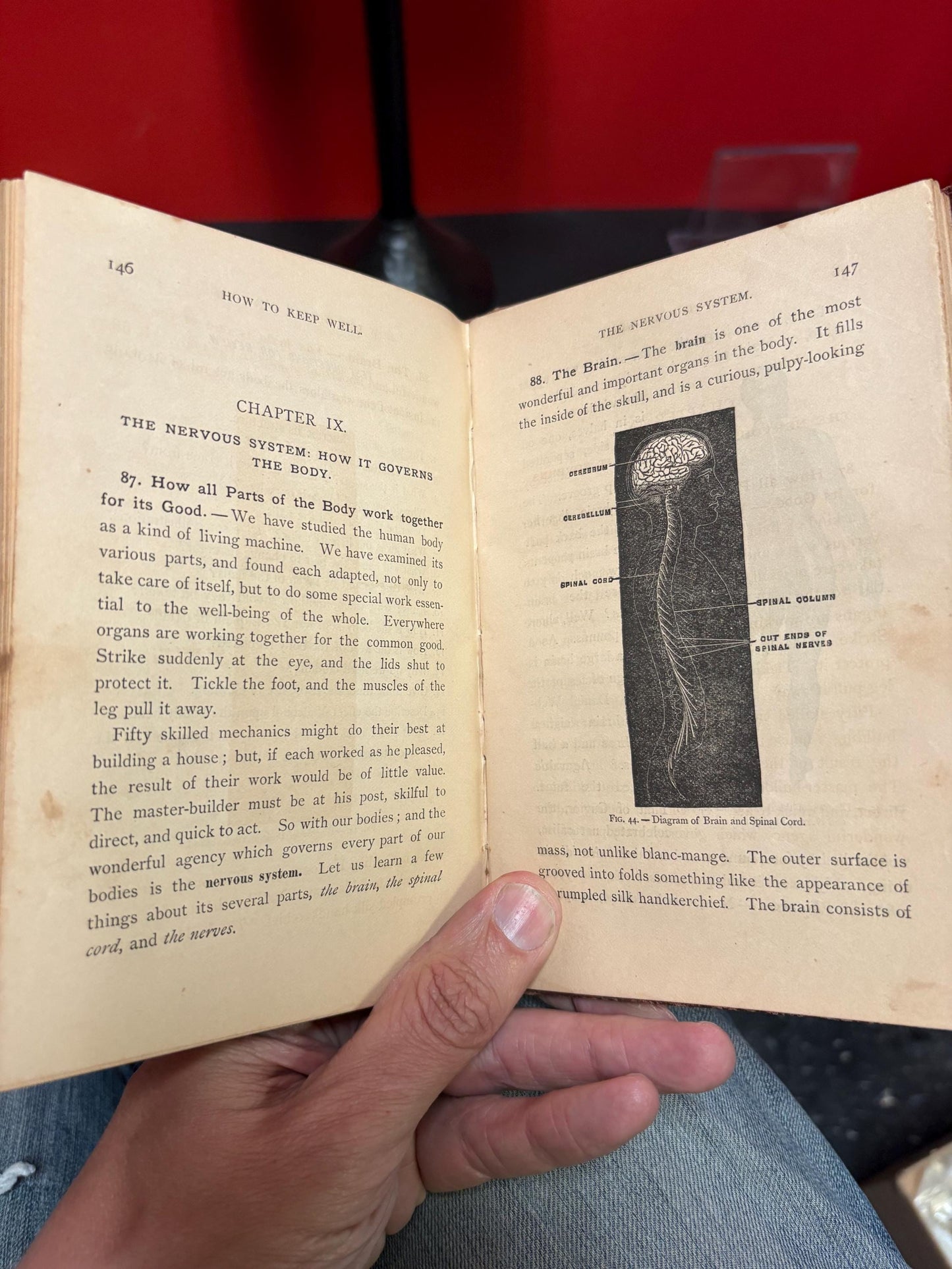 Beautiful physiology for boys and girls 1865 book not perfect condition but very cool info great gift