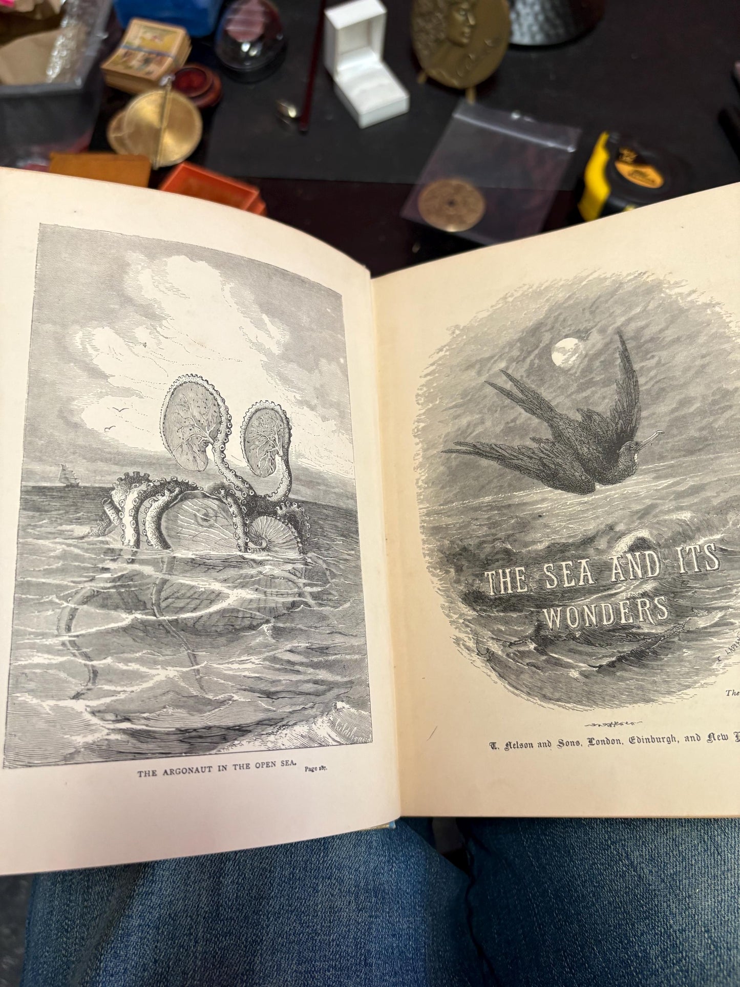 Amazing antique copy of the sea, and its wonders by Mary and Elizabeth Kirby in pretty good condition - 1896 - 304 pages - amazing gift
