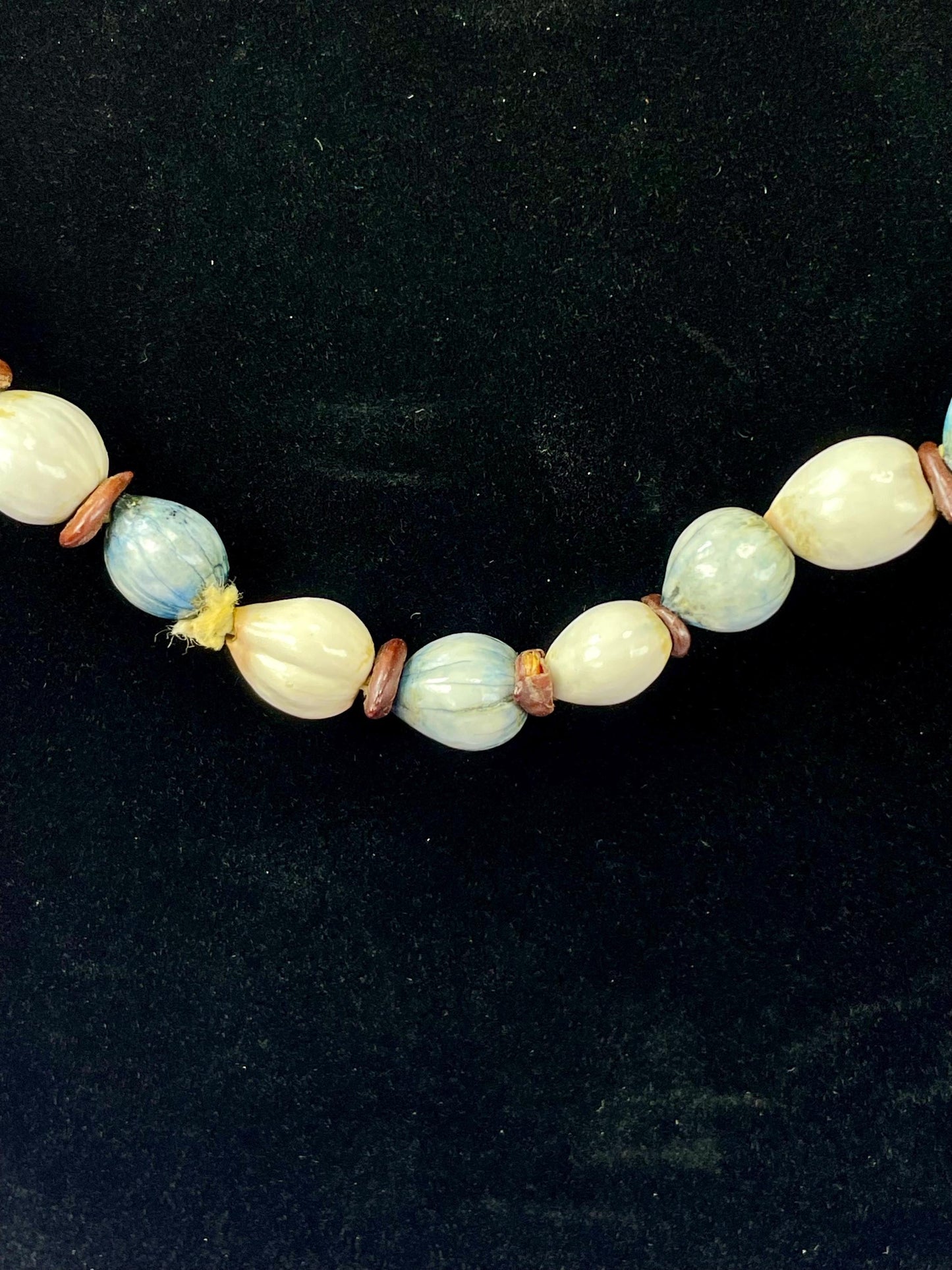 41 inch long Shell and Seed Necklace