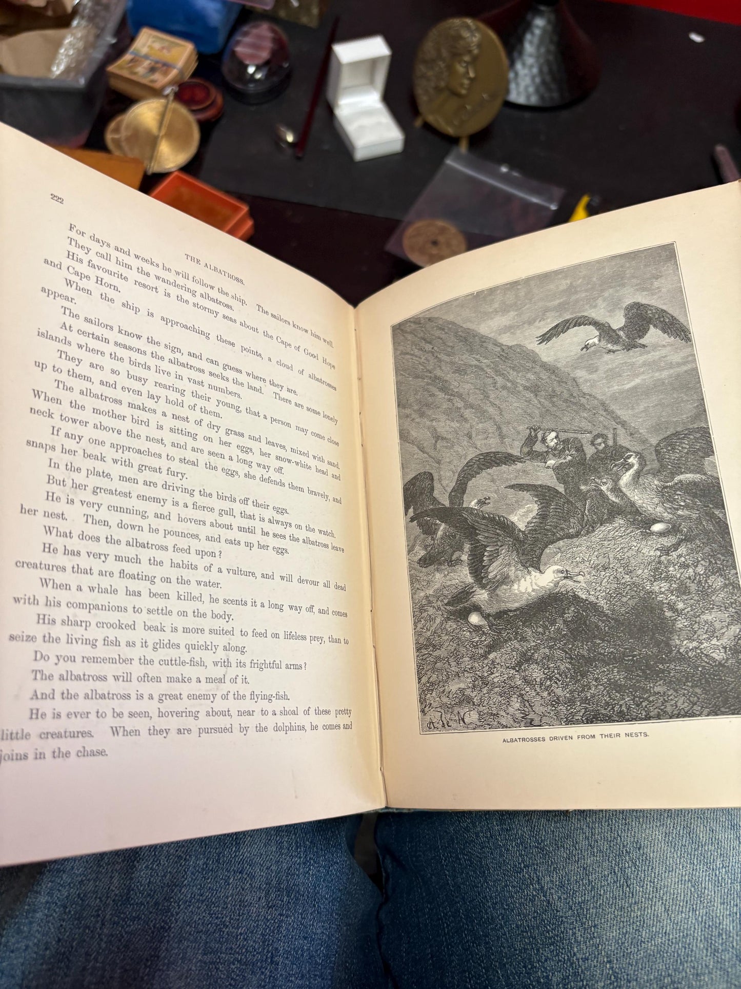 Amazing antique copy of the sea, and its wonders by Mary and Elizabeth Kirby in pretty good condition - 1896 - 304 pages - amazing gift