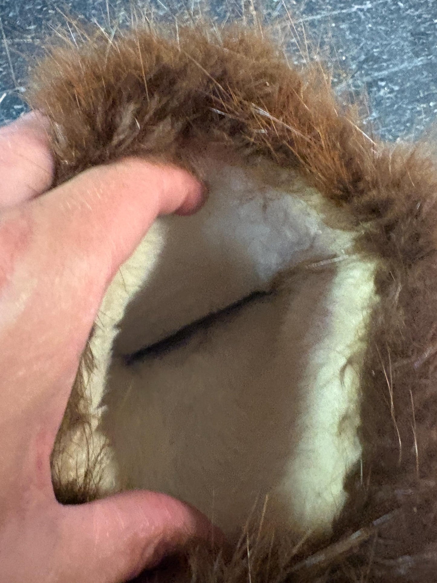 Beautiful old 15 inch long, beaded leather and fur indigenous First Nations  pacific north West Coast gloves  amazing condition