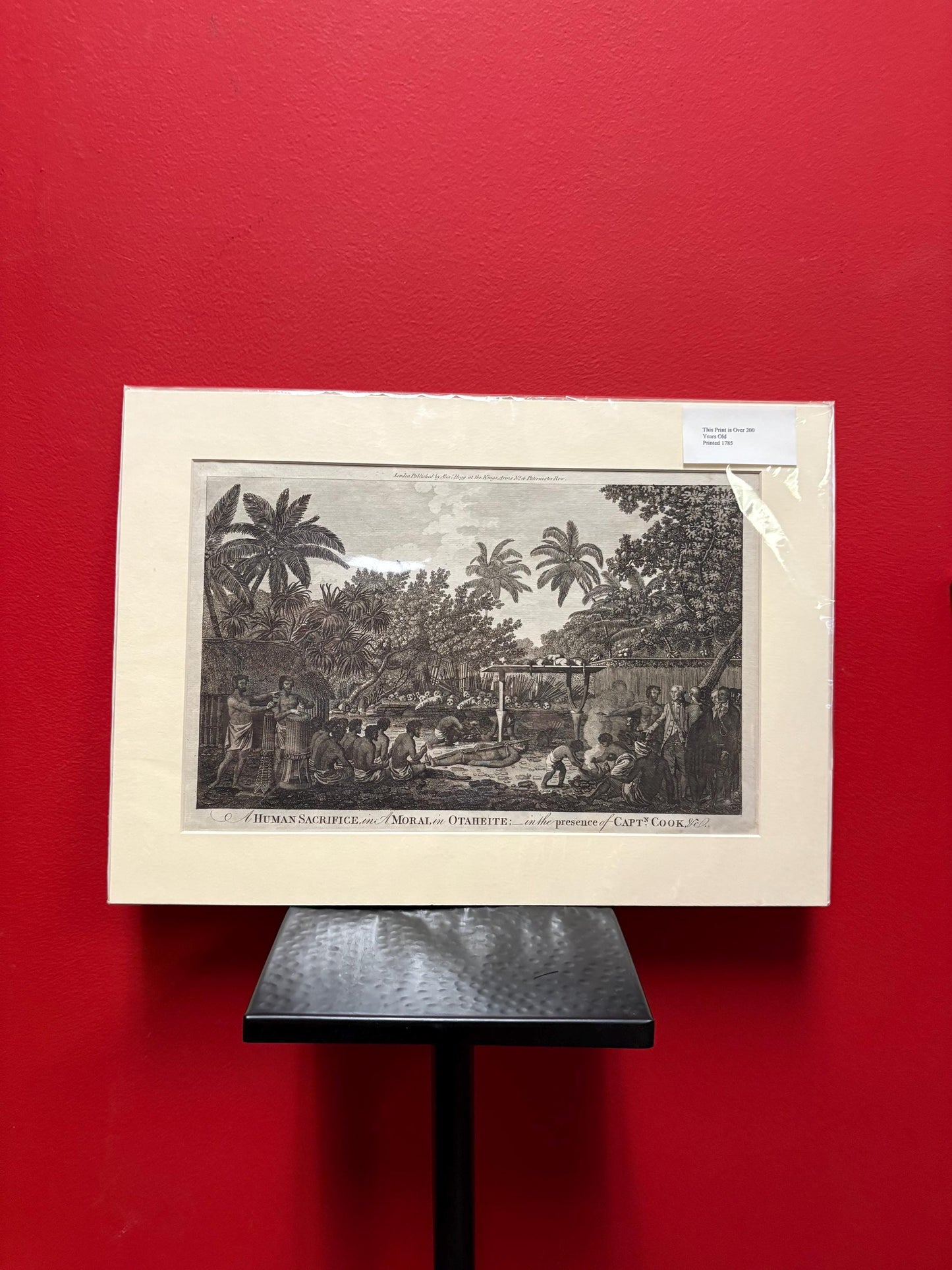 Very rare 17 x 12“ captain Cook journal print authentic and matted ready for frame great gift