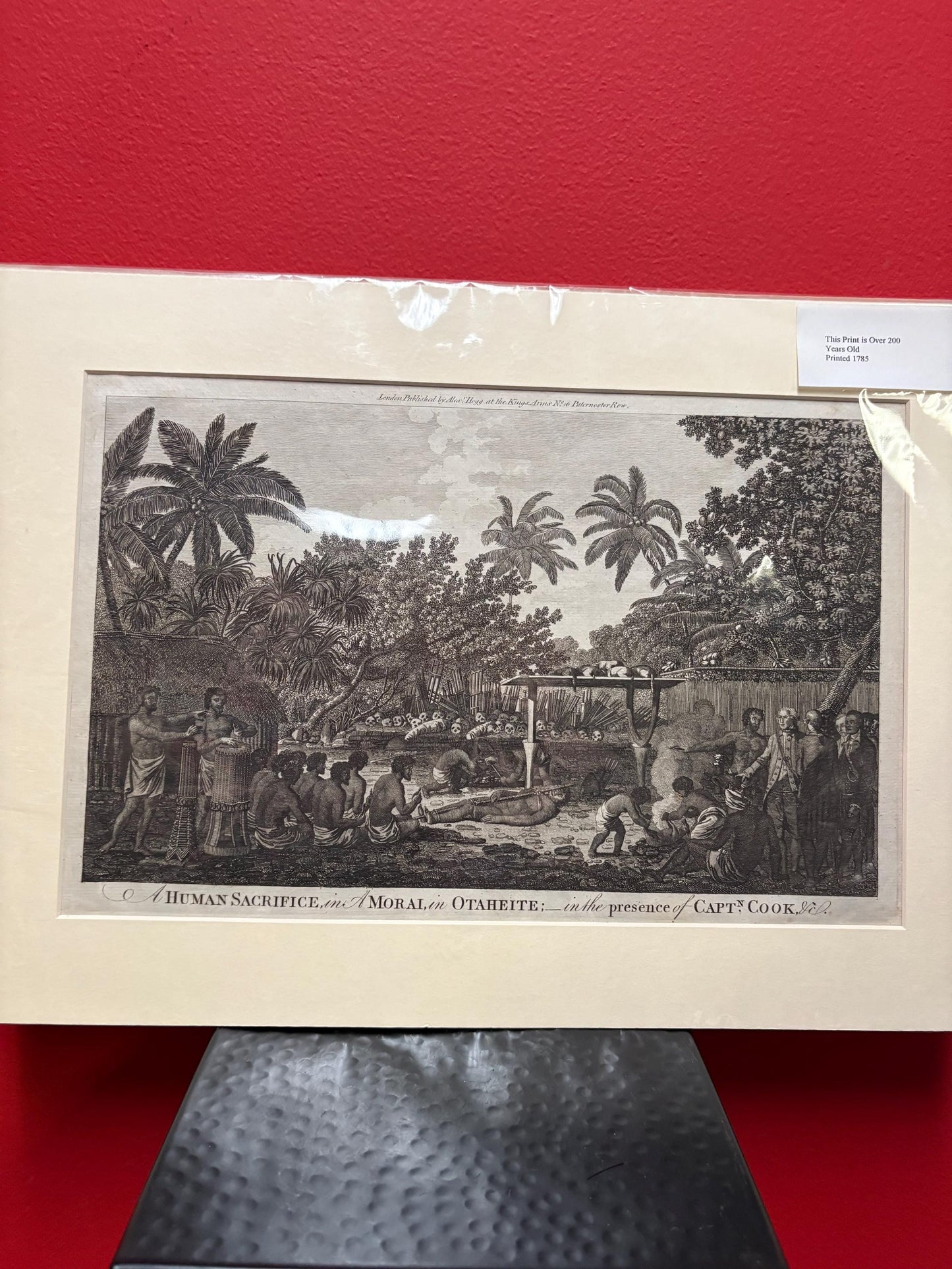 Very rare 17 x 12“ captain Cook journal print authentic and matted ready for frame great gift