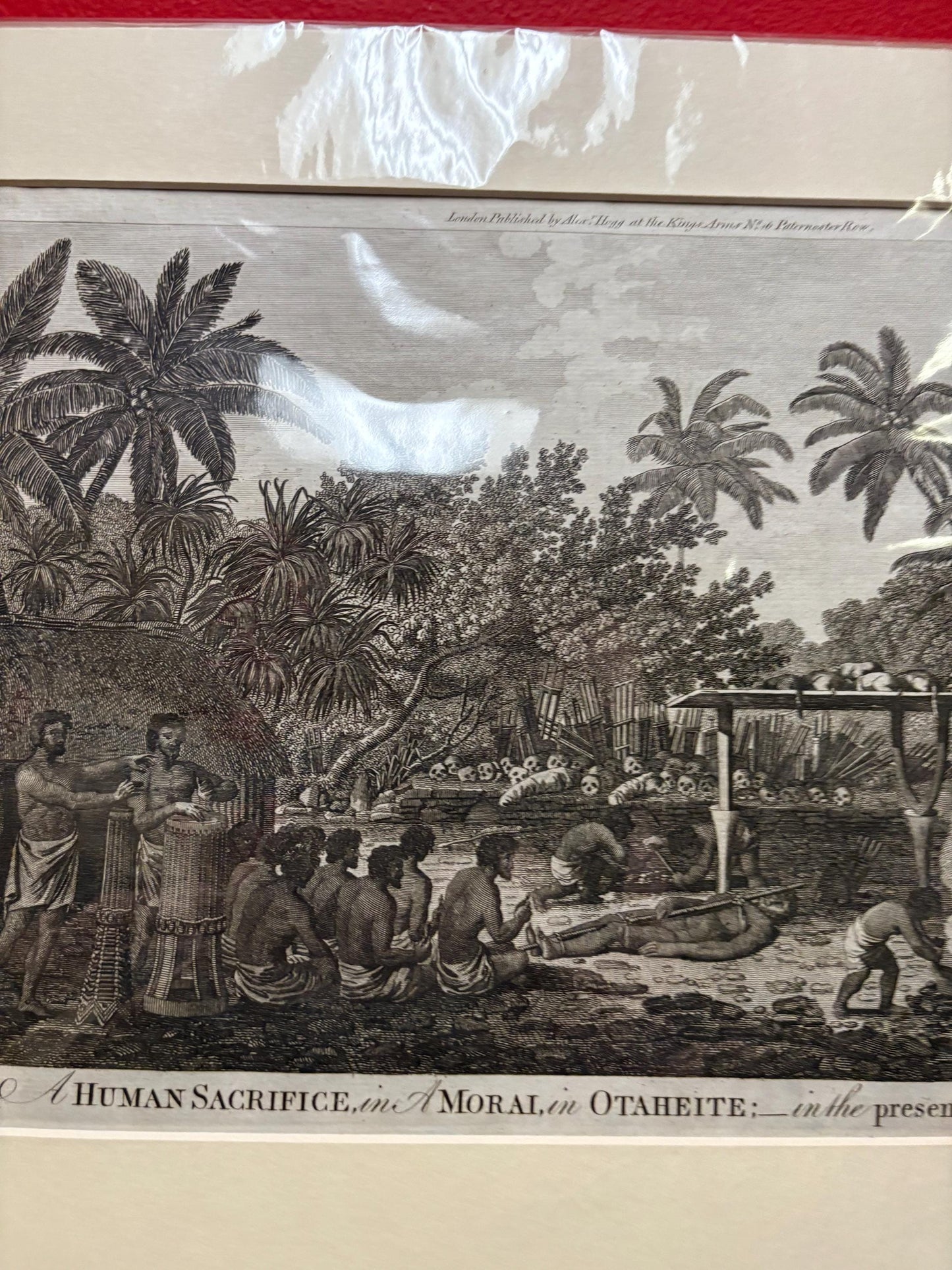 Very rare 17 x 12“ captain Cook journal print authentic and matted ready for frame great gift