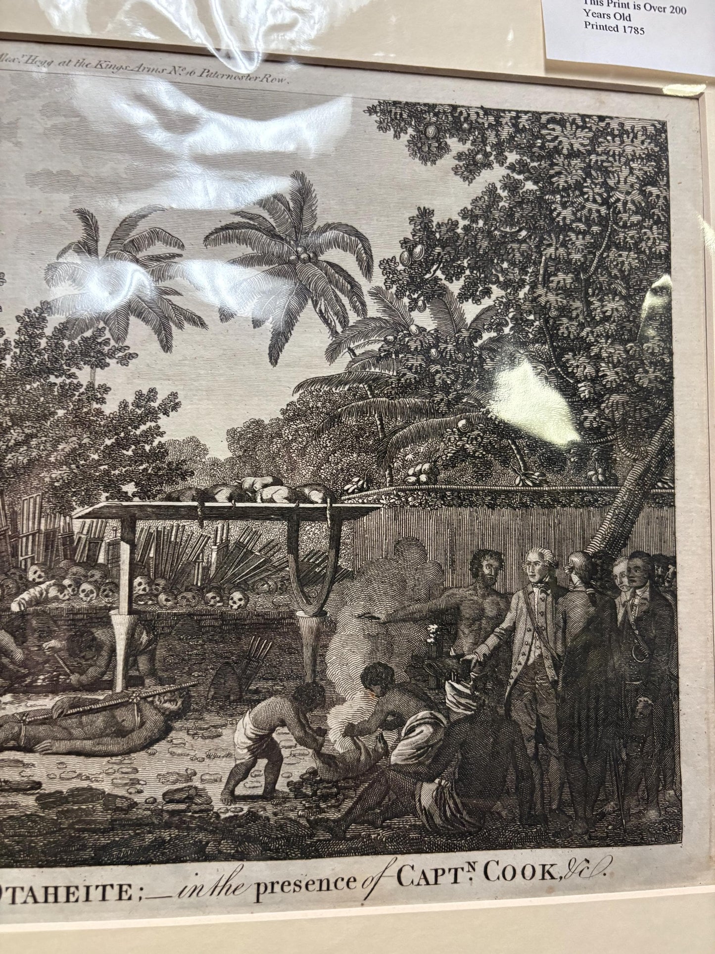 Very rare 17 x 12“ captain Cook journal print authentic and matted ready for frame great gift