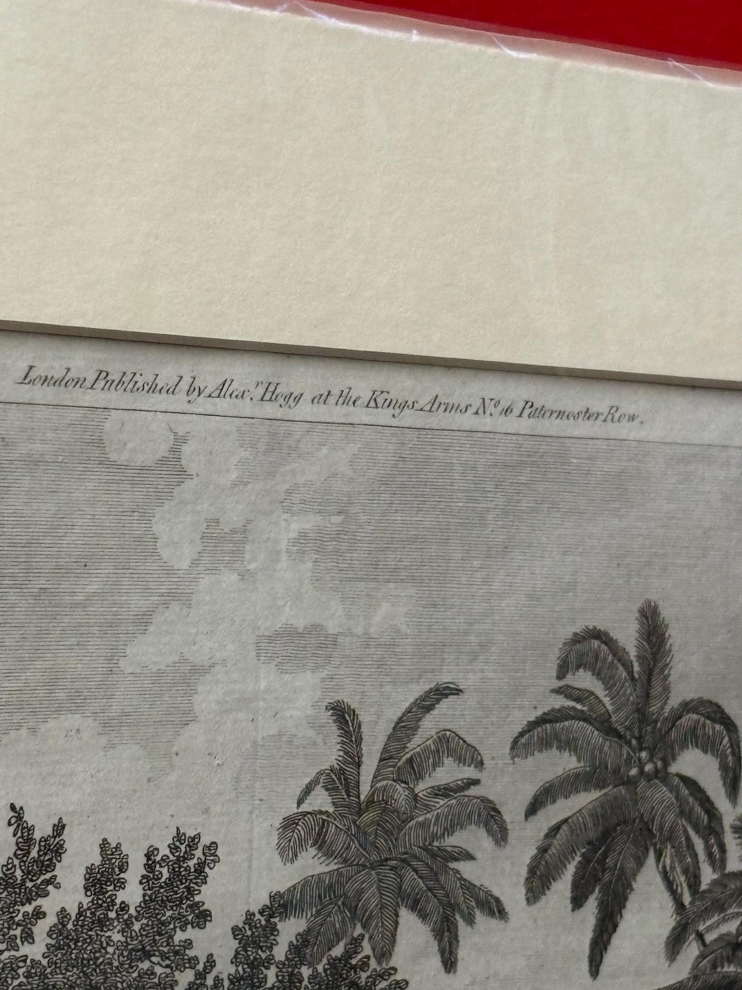 Very rare 17 x 12“ captain Cook journal print authentic and matted ready for frame great gift
