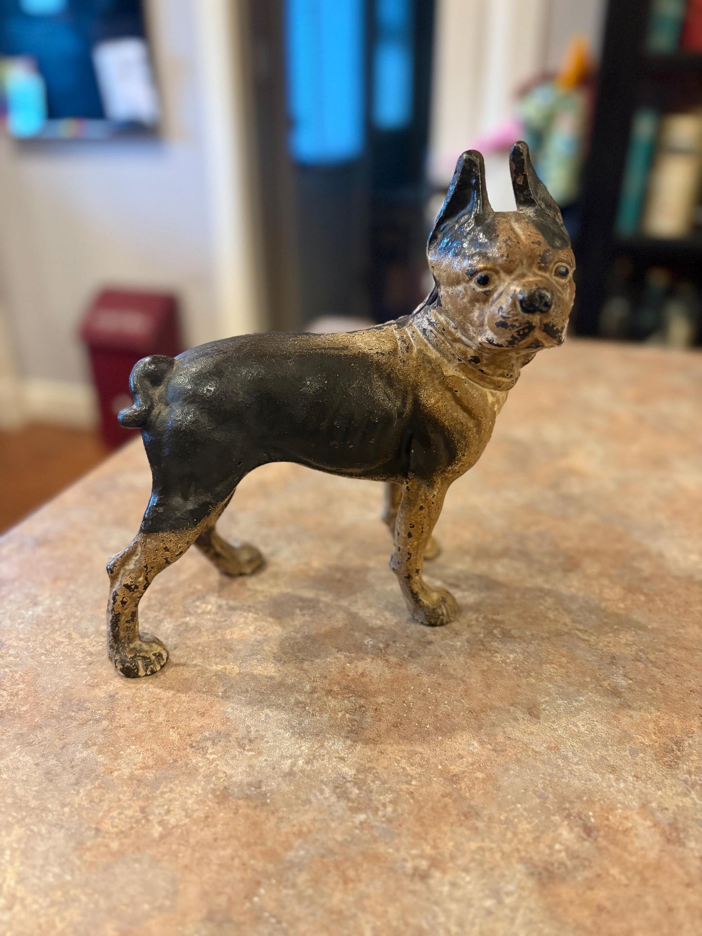 Hubley cast iron original antique bull terrier doorstop amazing condition and patina 9 x 11 inches tall wow