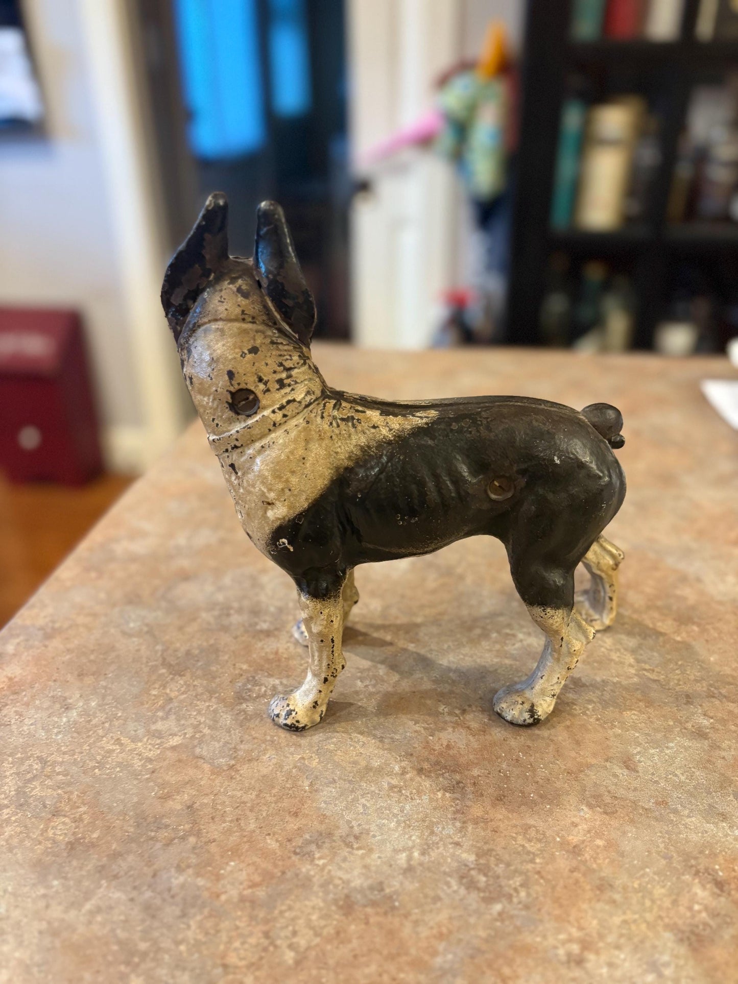 Hubley cast iron original antique bull terrier doorstop amazing condition and patina 9 x 11 inches tall wow