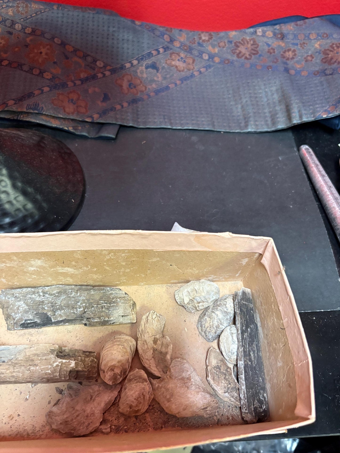 Pretty cool collection of Canadian West Coast stones and fossils believed to be ancient indigenous sold as a lot of great value