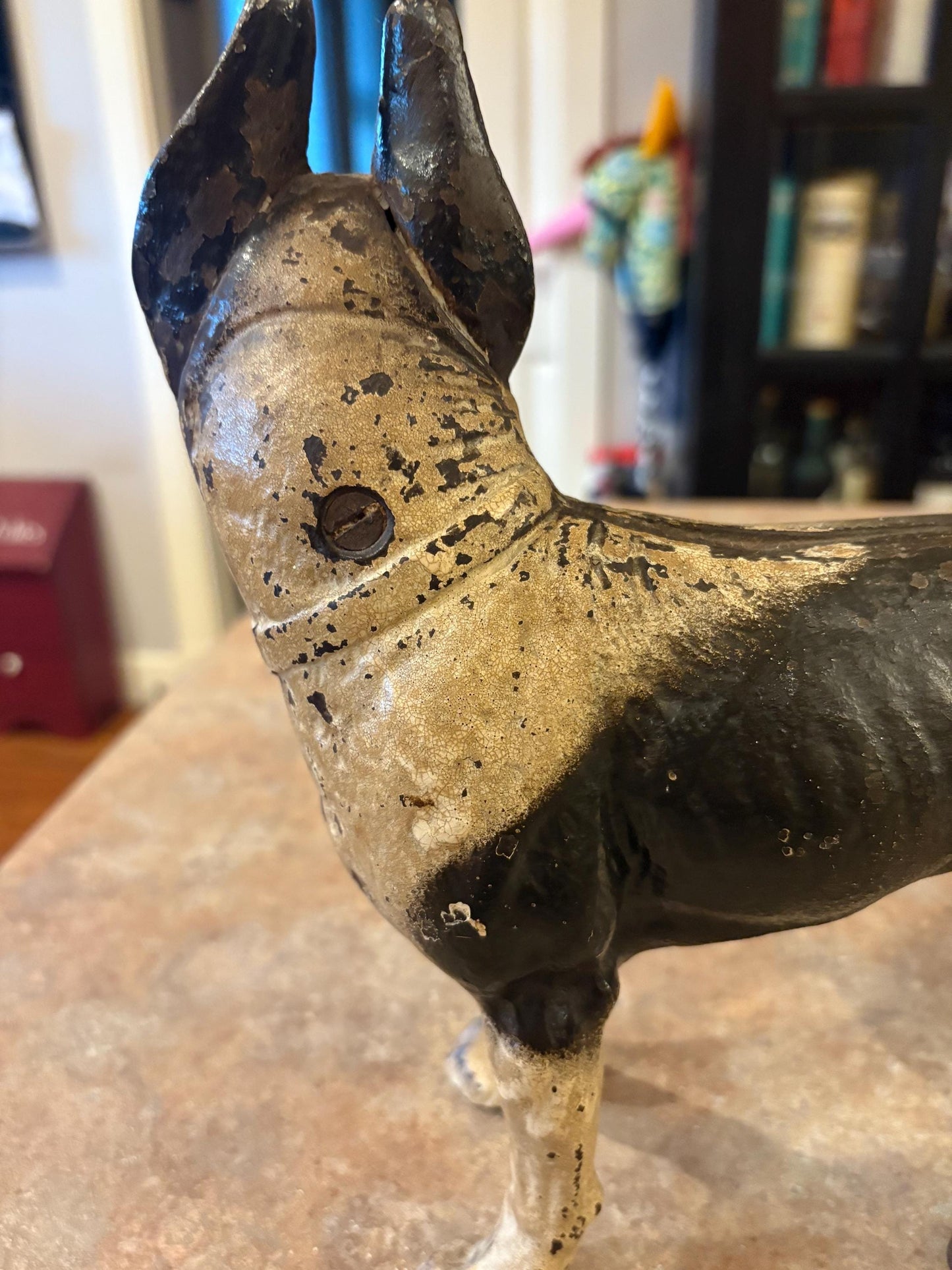 Hubley cast iron original antique bull terrier doorstop amazing condition and patina 9 x 11 inches tall wow