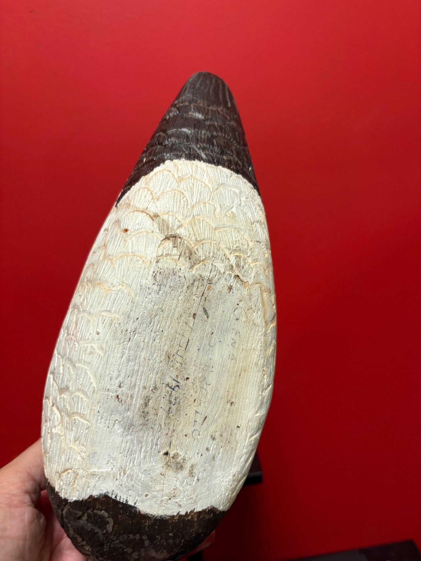 Beautiful 1970s Canadian wood signed duck - great colours and detail  good value and perfect gift