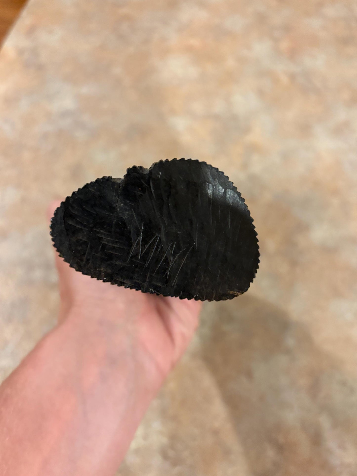 Particularly beautiful 8 inch tall Ebony wood African female bust with great detail  - signed