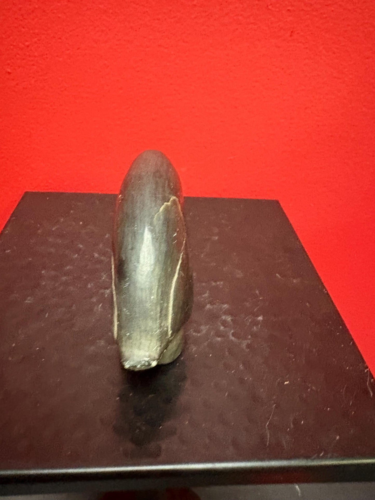 Stunning  5 x 3 high old signed indigenous soapstone bird with long neck  -  Unusual and cool