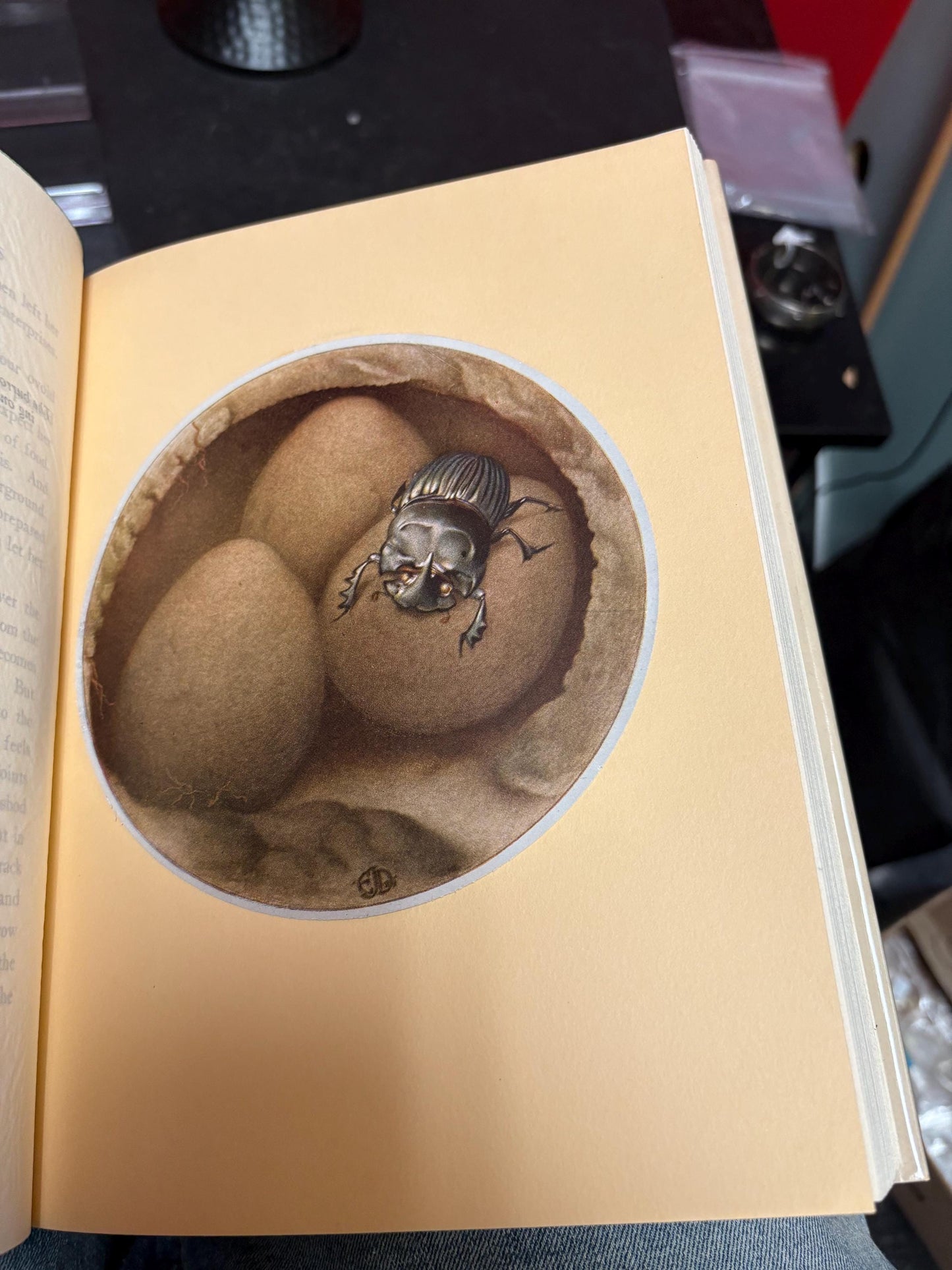 Outstanding mint condition copy of FABRES book of insects with illustrations by DETMOLD - with original box - 4th edition