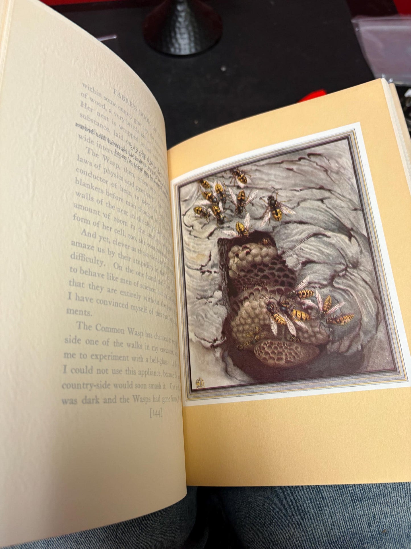Outstanding mint condition copy of FABRES book of insects with illustrations by DETMOLD - with original box - 4th edition