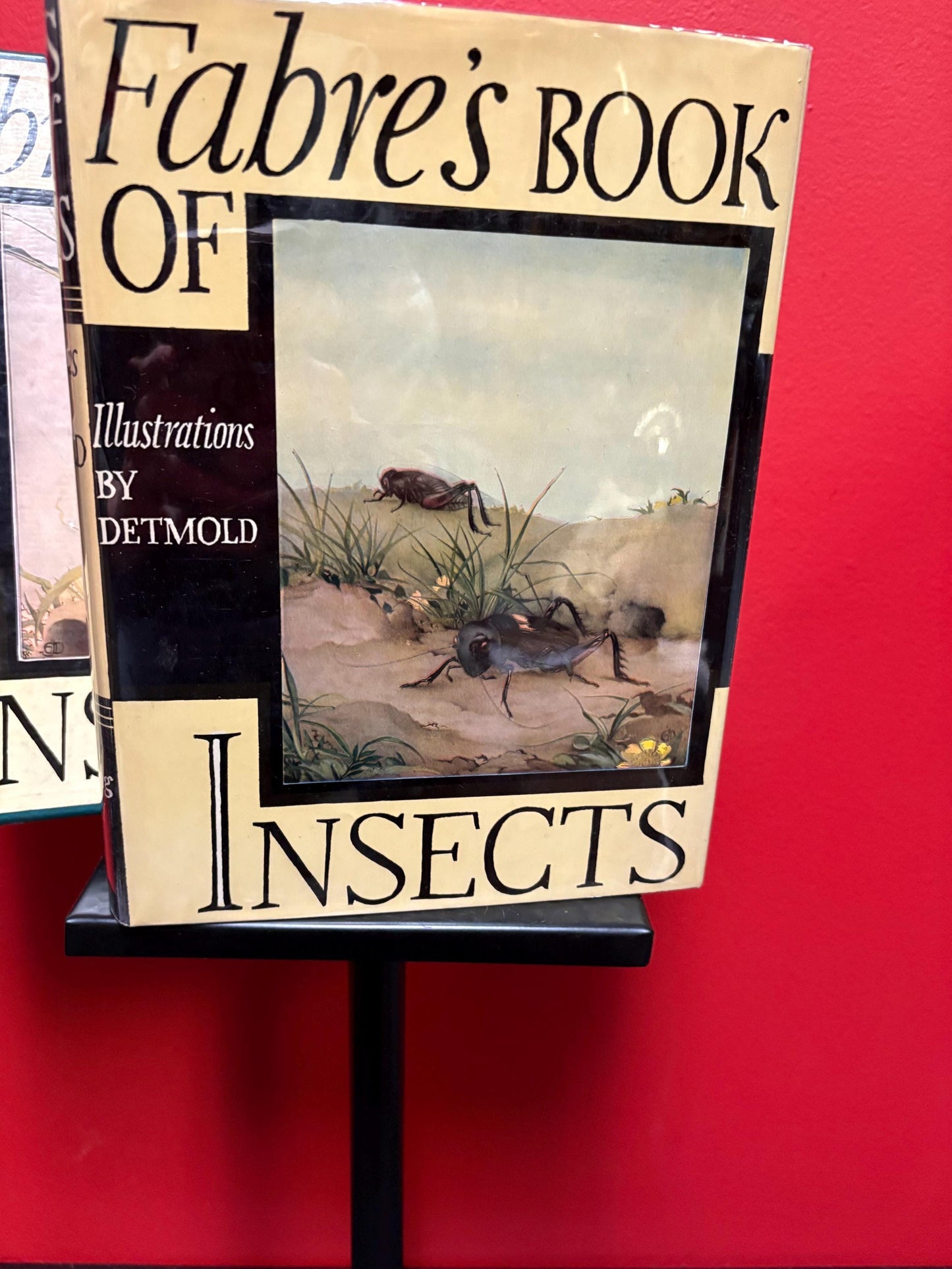 Outstanding mint condition copy of FABRES book of insects with illustrations by DETMOLD - with original box - 4th edition