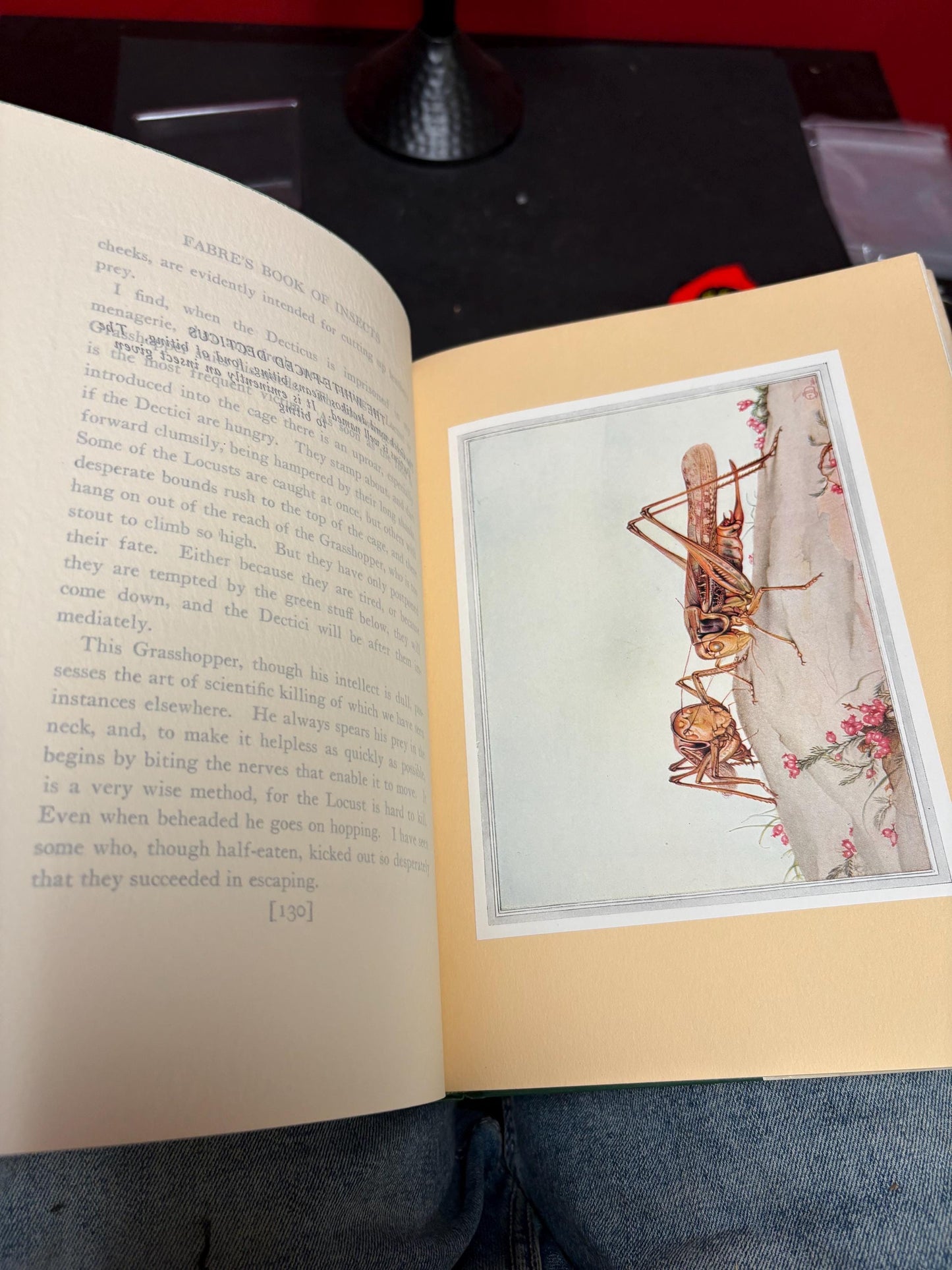 Outstanding mint condition copy of FABRES book of insects with illustrations by DETMOLD - with original box - 4th edition