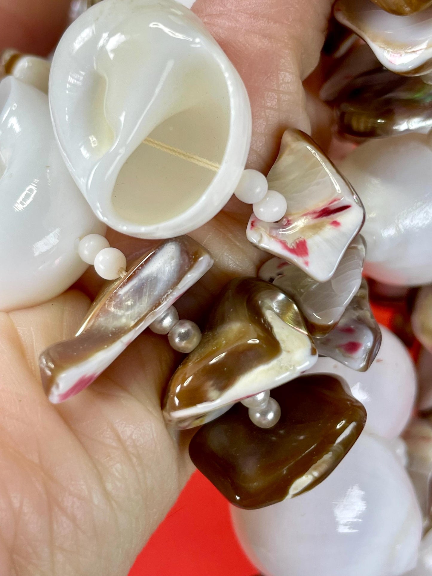 Lovely Polished Shell Necklace —